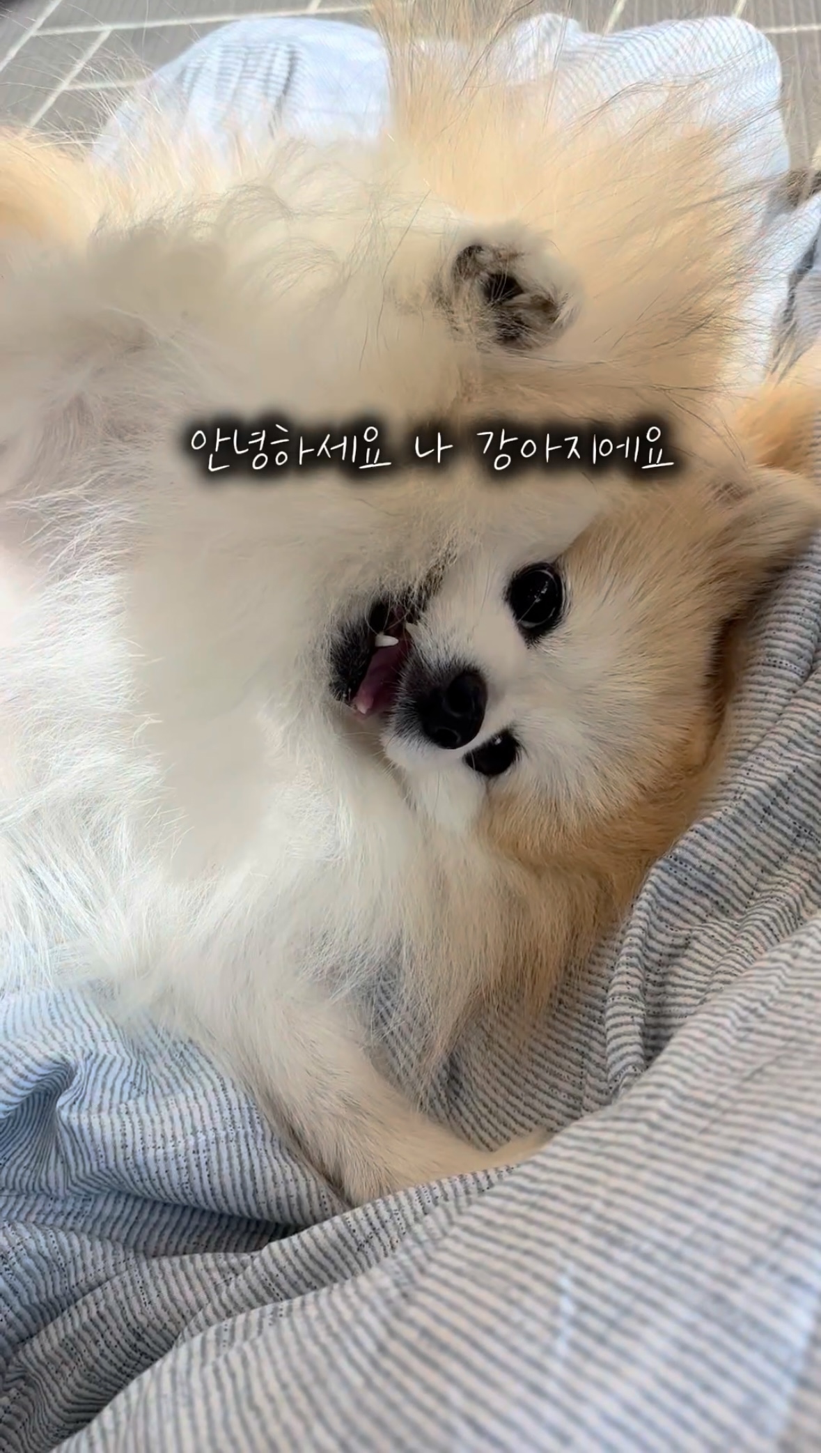 16d35de913b565bbe2fad019ff3c2197_1761547137_9087.jpg 16d35de913b565bbe2fad019ff3c2197_1761547137_9087.jpg