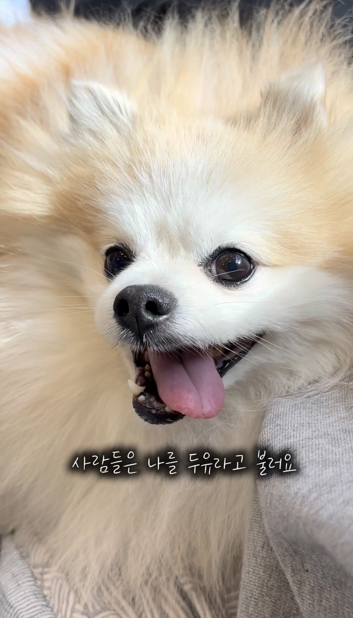 16d35de913b565bbe2fad019ff3c2197_1761547140_0798.jpg 16d35de913b565bbe2fad019ff3c2197_1761547140_0798.jpg