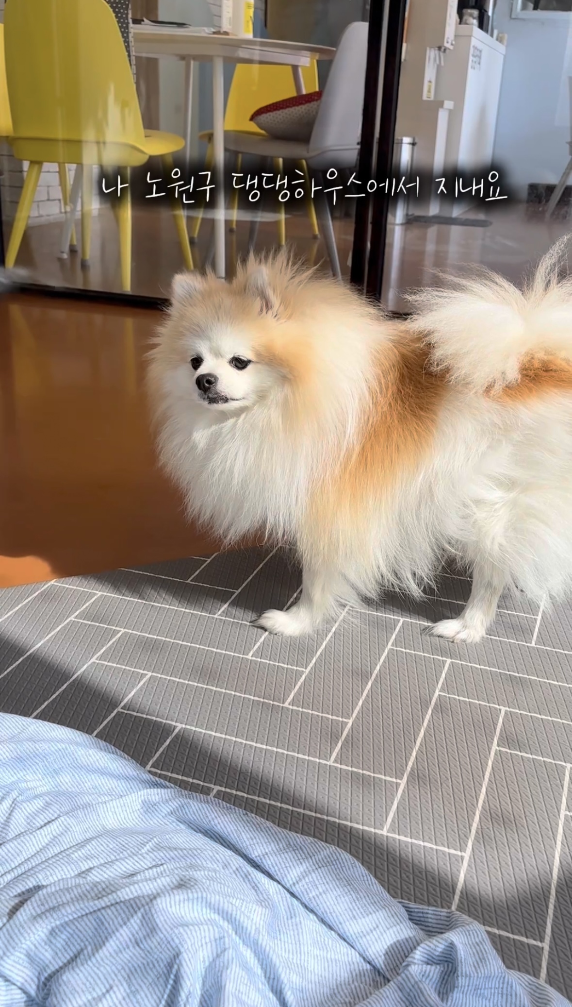 16d35de913b565bbe2fad019ff3c2197_1761547142_5972.jpg 16d35de913b565bbe2fad019ff3c2197_1761547142_5972.jpg