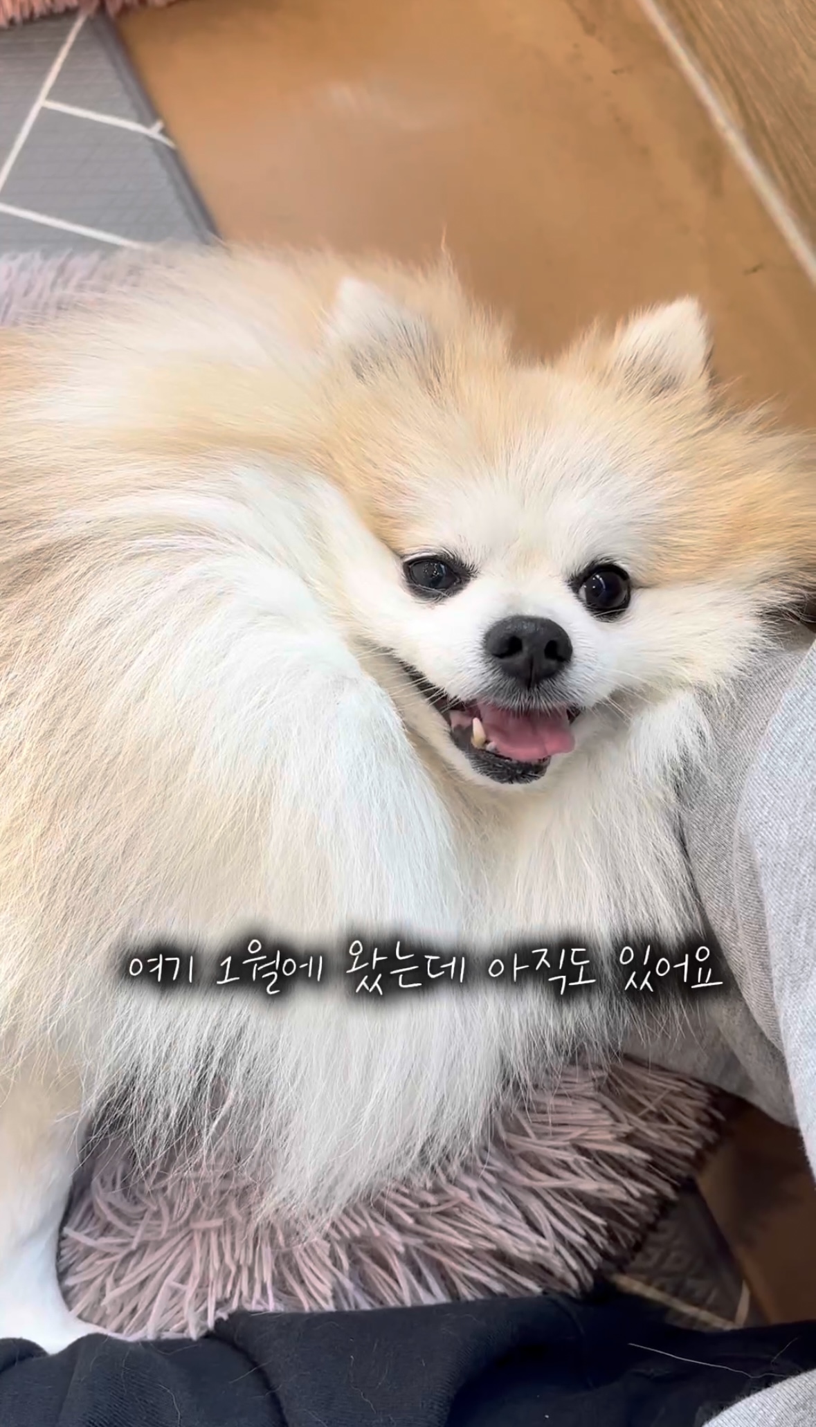 16d35de913b565bbe2fad019ff3c2197_1761547144_3359.jpg 16d35de913b565bbe2fad019ff3c2197_1761547144_3359.jpg