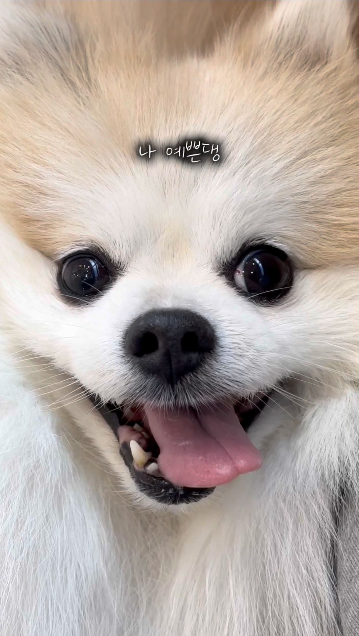 16d35de913b565bbe2fad019ff3c2197_1761547146_3747.jpg 16d35de913b565bbe2fad019ff3c2197_1761547146_3747.jpg