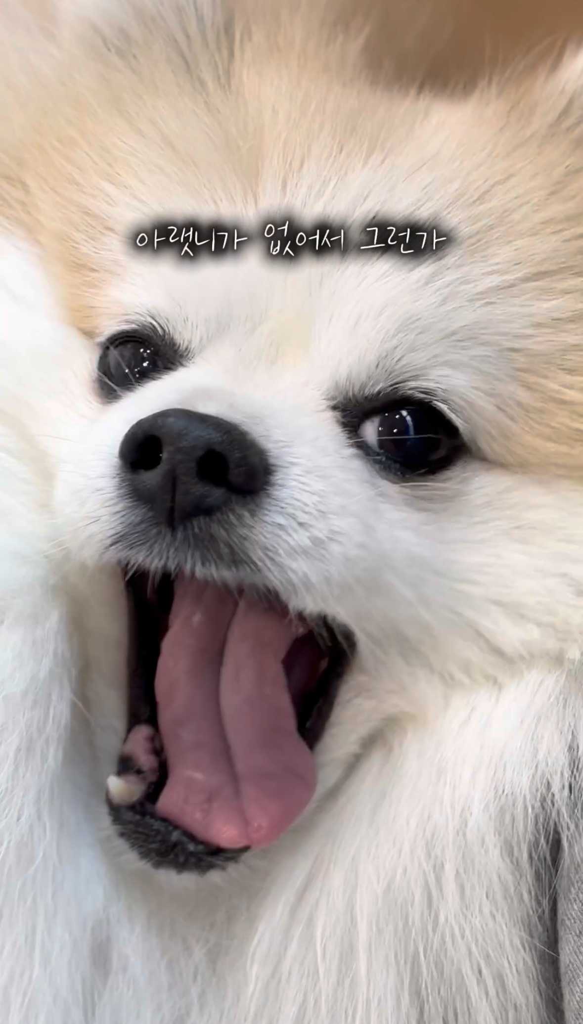 16d35de913b565bbe2fad019ff3c2197_1761547148_0871.jpg 16d35de913b565bbe2fad019ff3c2197_1761547148_0871.jpg