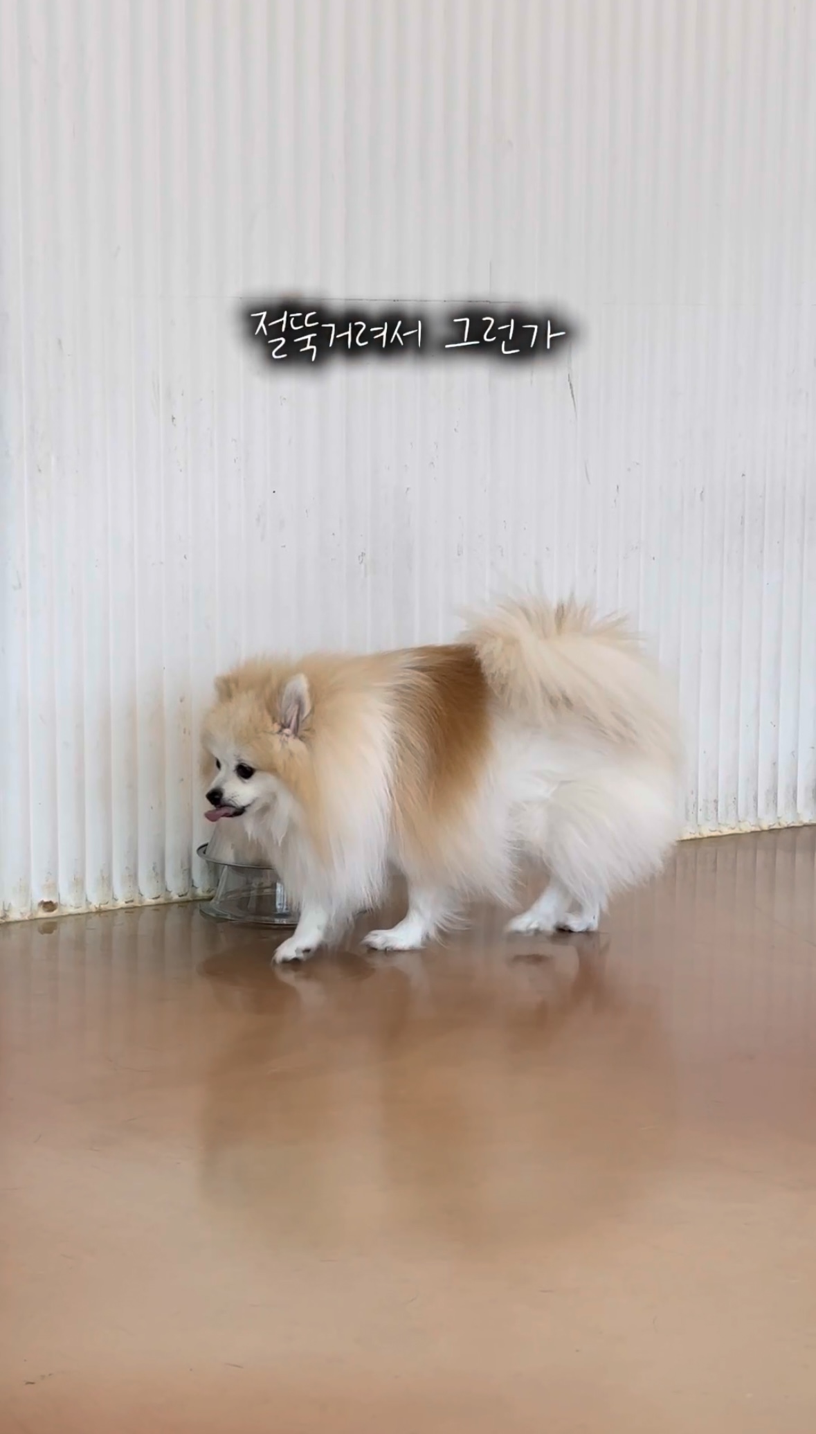 16d35de913b565bbe2fad019ff3c2197_1761547150_0294.jpg 16d35de913b565bbe2fad019ff3c2197_1761547150_0294.jpg