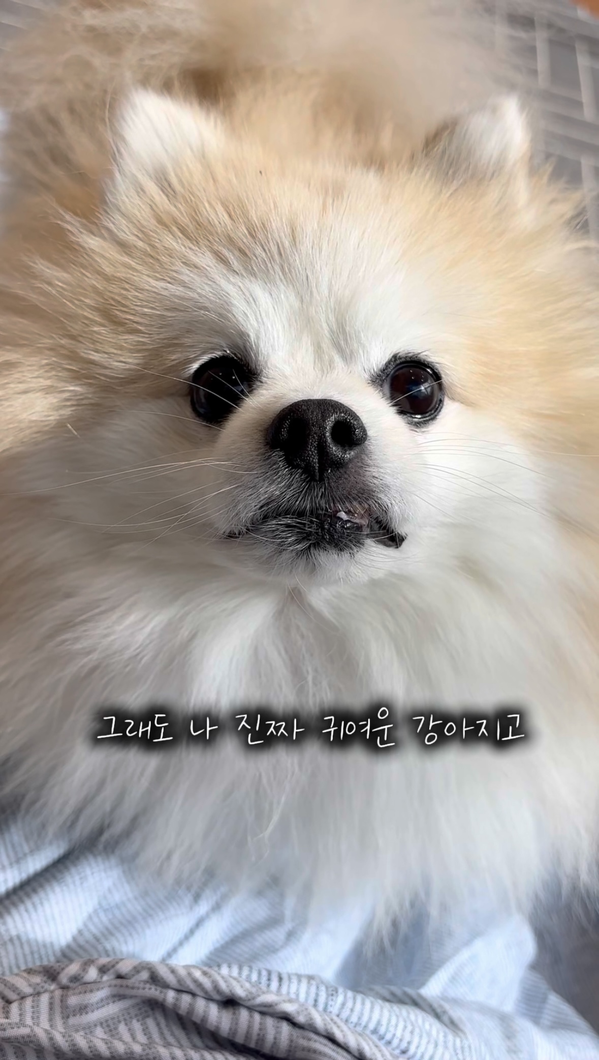 16d35de913b565bbe2fad019ff3c2197_1761547152_3086.jpg 16d35de913b565bbe2fad019ff3c2197_1761547152_3086.jpg