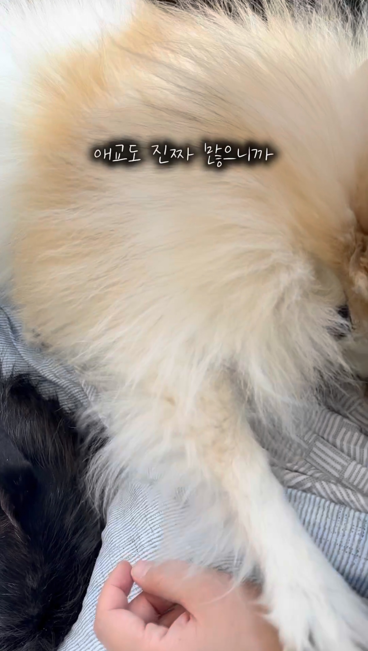 16d35de913b565bbe2fad019ff3c2197_1761547154_5028.jpg 16d35de913b565bbe2fad019ff3c2197_1761547154_5028.jpg