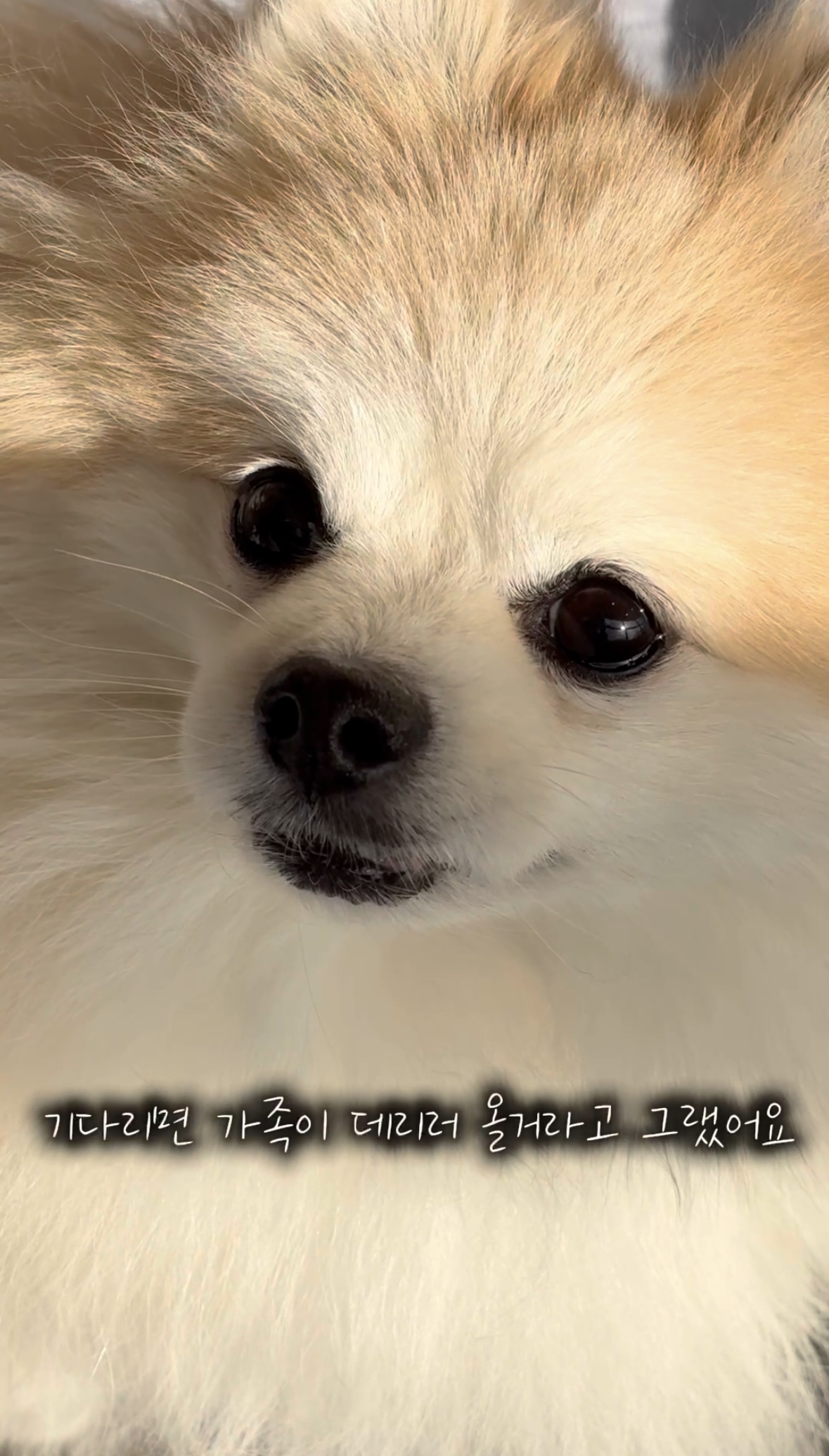 16d35de913b565bbe2fad019ff3c2197_1761547157_3024.jpg 16d35de913b565bbe2fad019ff3c2197_1761547157_3024.jpg