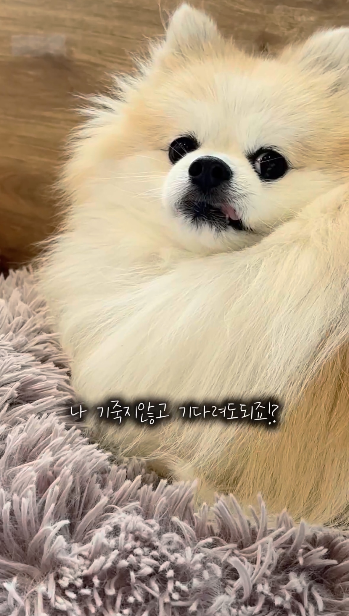 16d35de913b565bbe2fad019ff3c2197_1761547159_9078.jpg 16d35de913b565bbe2fad019ff3c2197_1761547159_9078.jpg