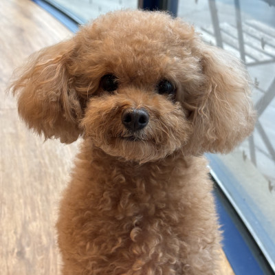 누네 소개 ♥