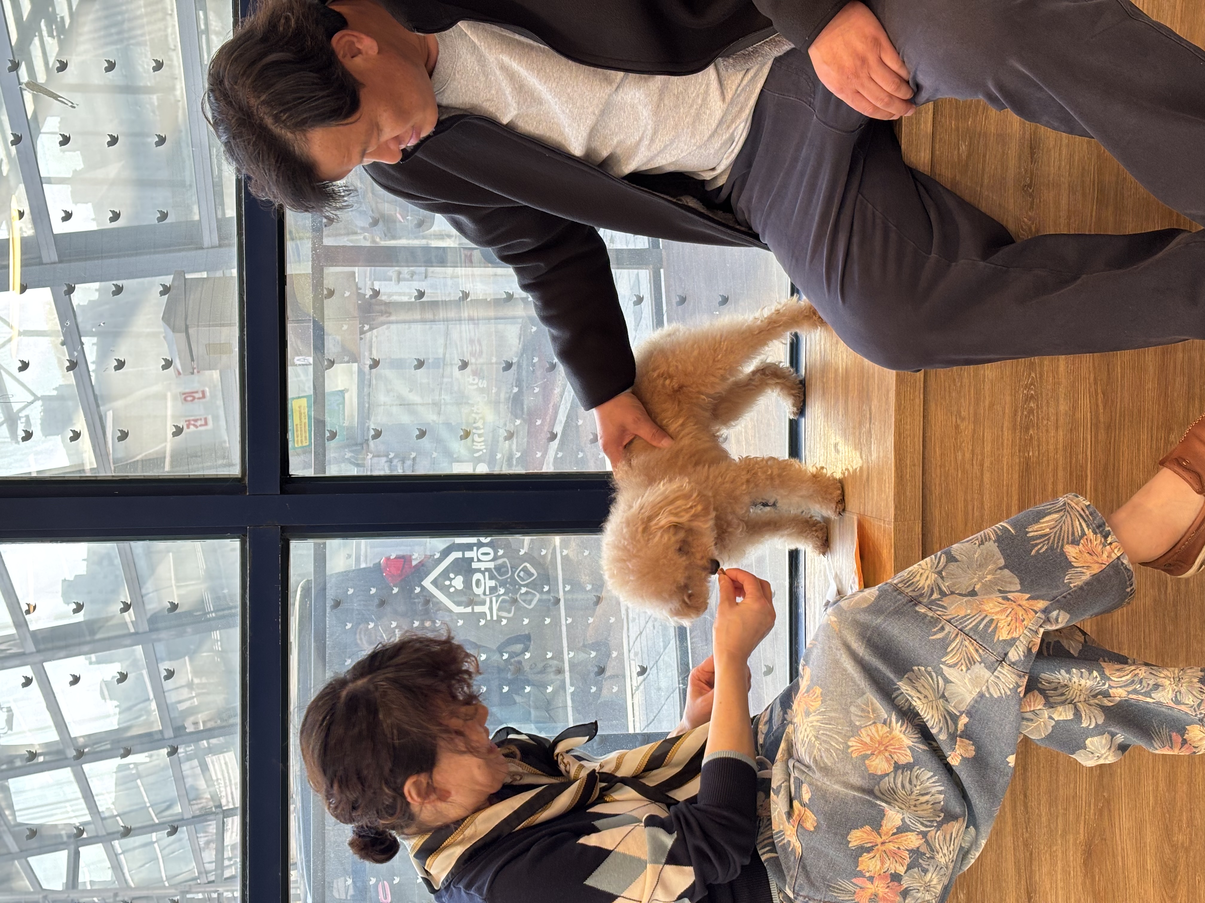 05c4b6a10459cfdce982e6dd744df894_1763878526_6333.jpg 05c4b6a10459cfdce982e6dd744df894_1763878526_6333.jpg