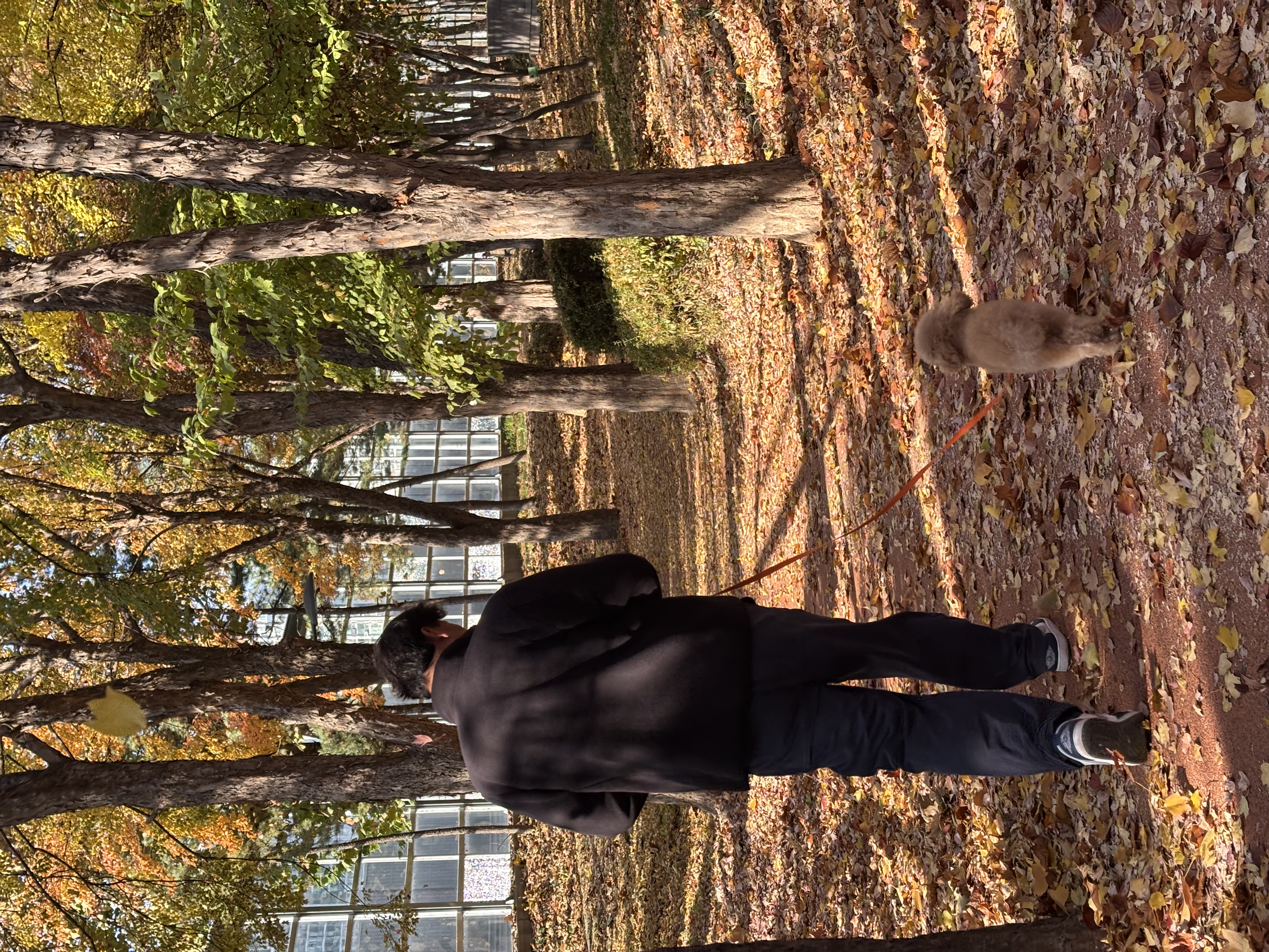 05c4b6a10459cfdce982e6dd744df894_1763878528_6492.jpg 05c4b6a10459cfdce982e6dd744df894_1763878528_6492.jpg