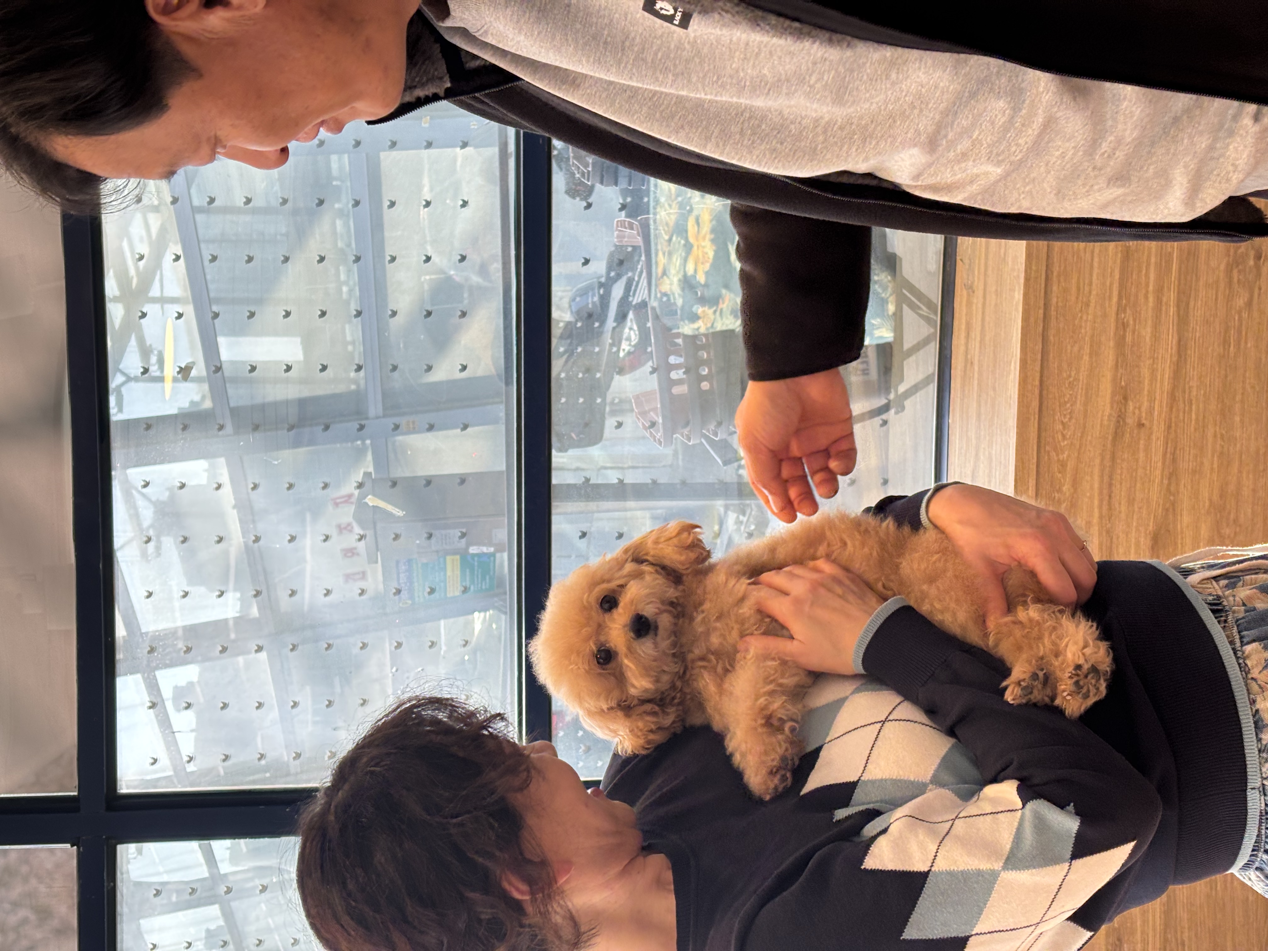 05c4b6a10459cfdce982e6dd744df894_1763878536_433.jpg 05c4b6a10459cfdce982e6dd744df894_1763878536_433.jpg