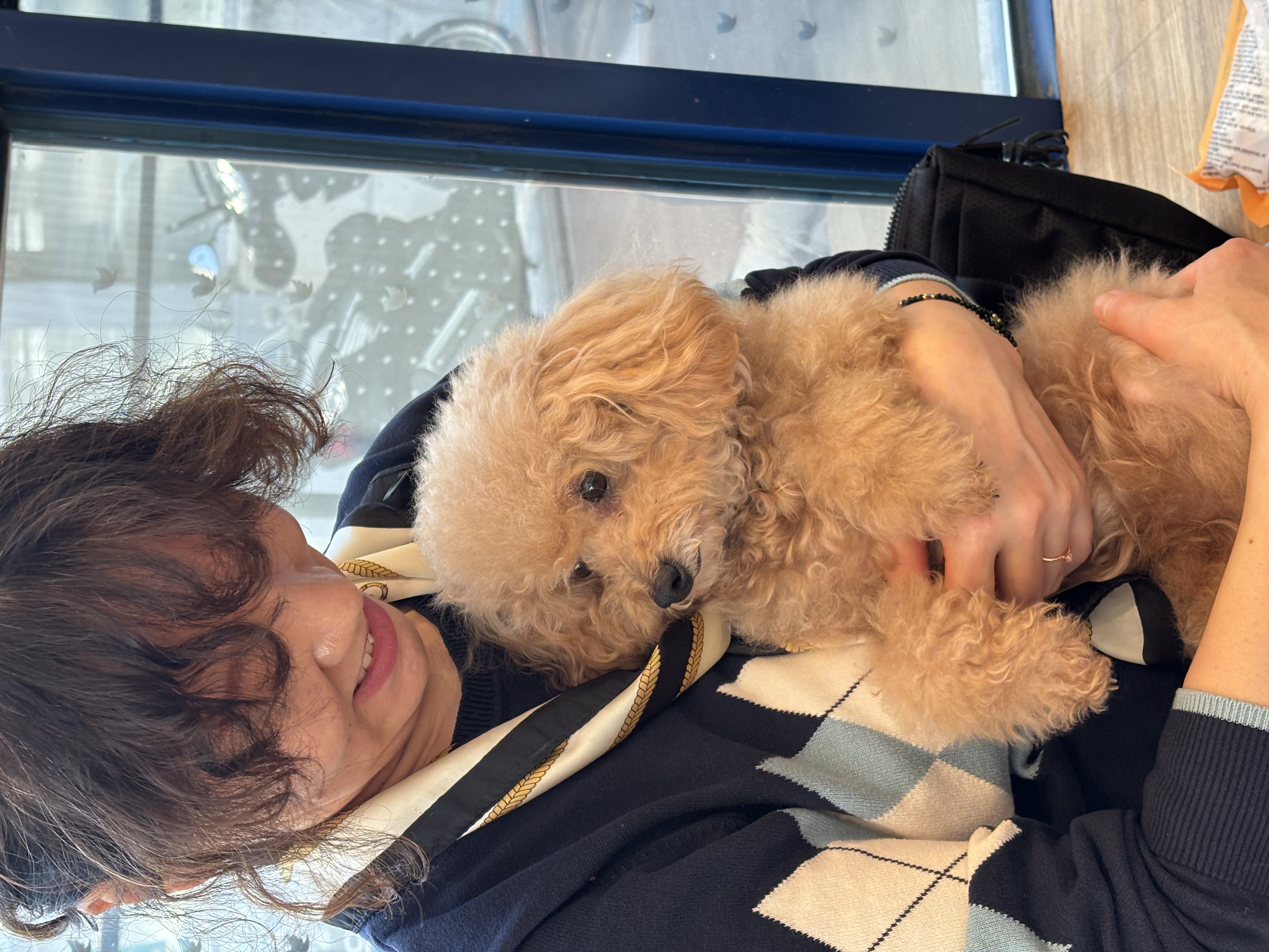 05c4b6a10459cfdce982e6dd744df894_1763878549_7761.jpg 05c4b6a10459cfdce982e6dd744df894_1763878549_7761.jpg