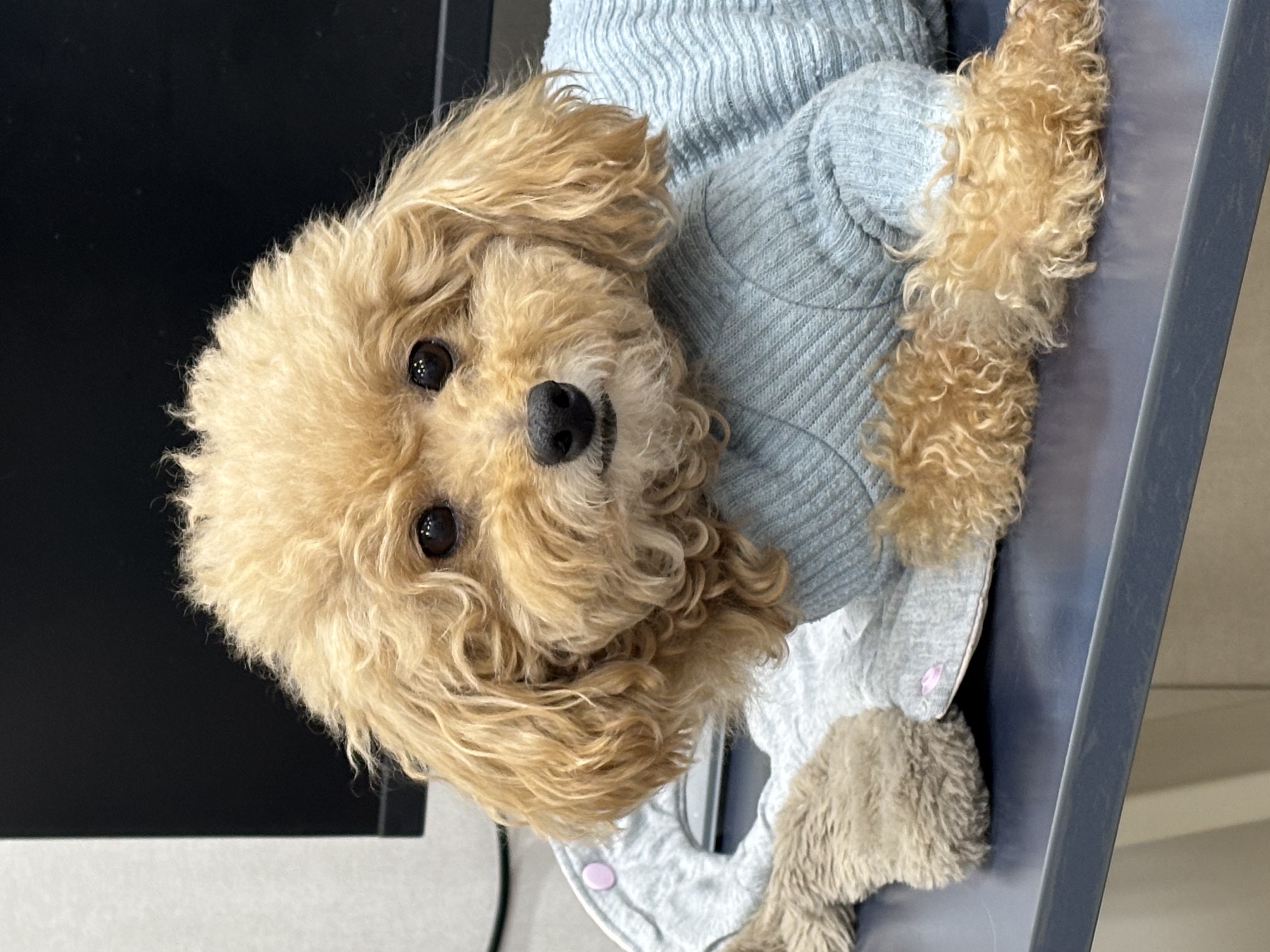 a861be5385cd875163a8058bd57c294d_1763442934_2059.jpg a861be5385cd875163a8058bd57c294d_1763442934_2059.jpg