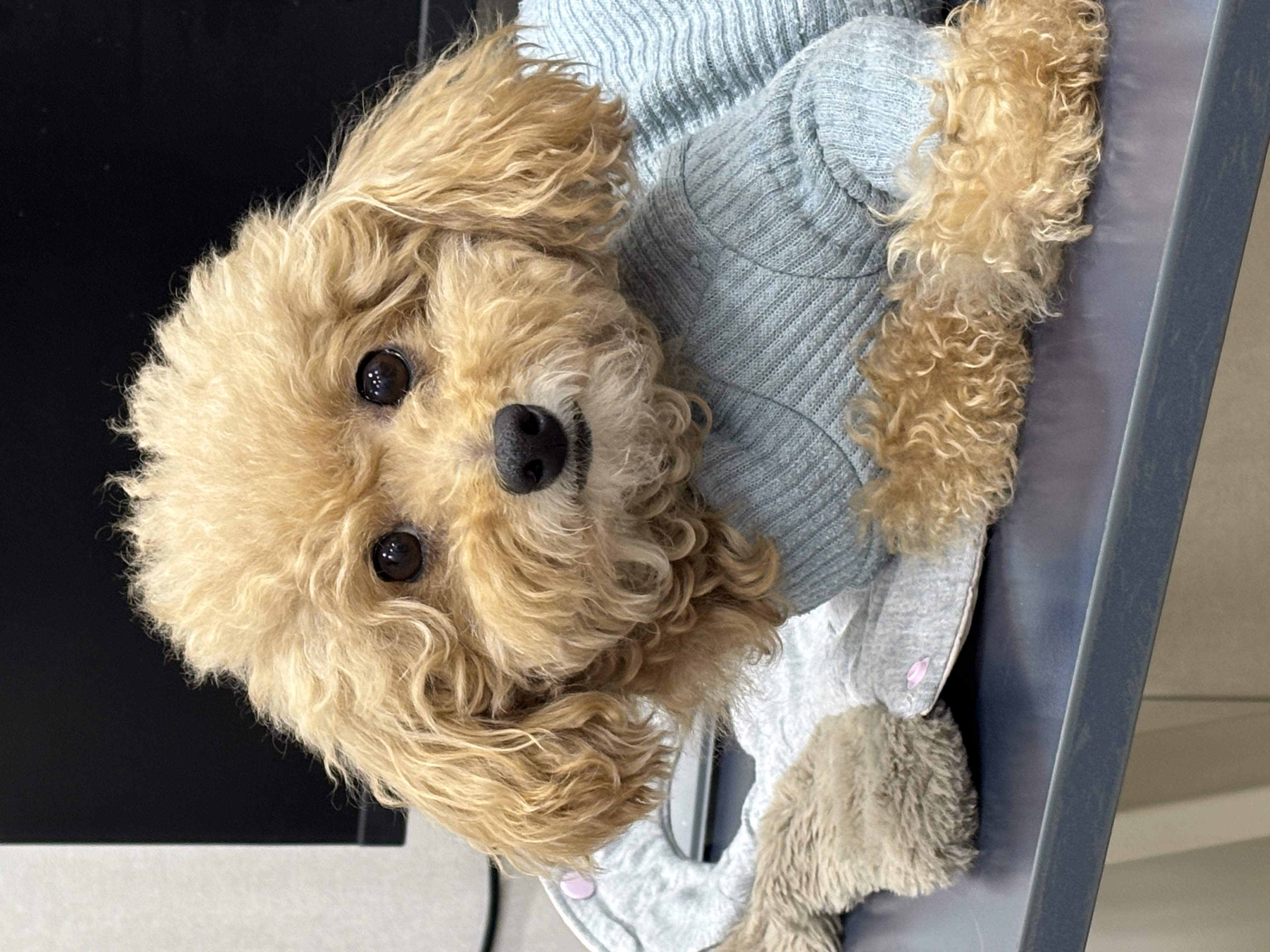 a861be5385cd875163a8058bd57c294d_1763442935_7148.jpg a861be5385cd875163a8058bd57c294d_1763442935_7148.jpg