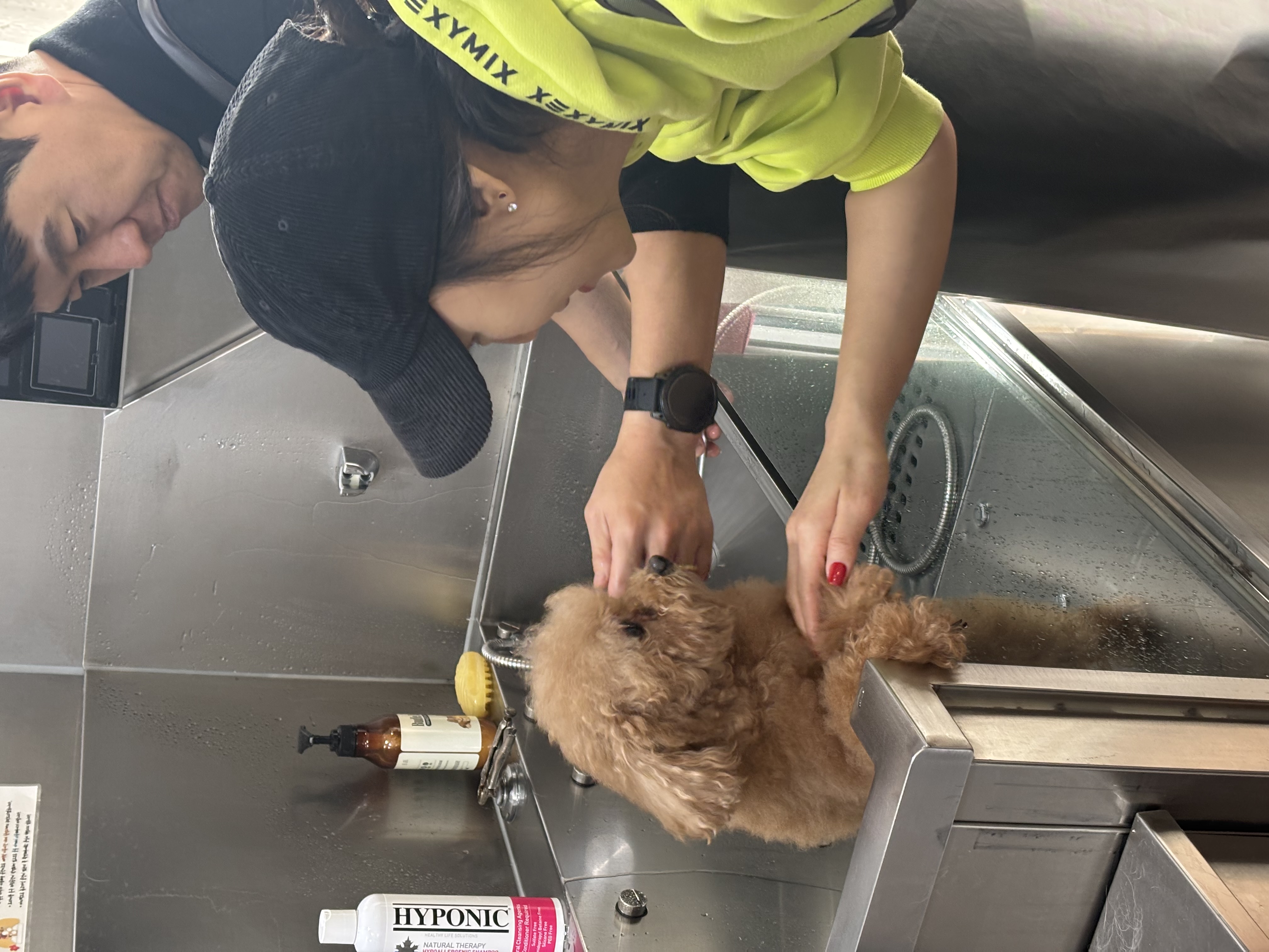 9a9f0d614664ee324bf6e4823c603e44_1765957273_8219.jpg 9a9f0d614664ee324bf6e4823c603e44_1765957273_8219.jpg