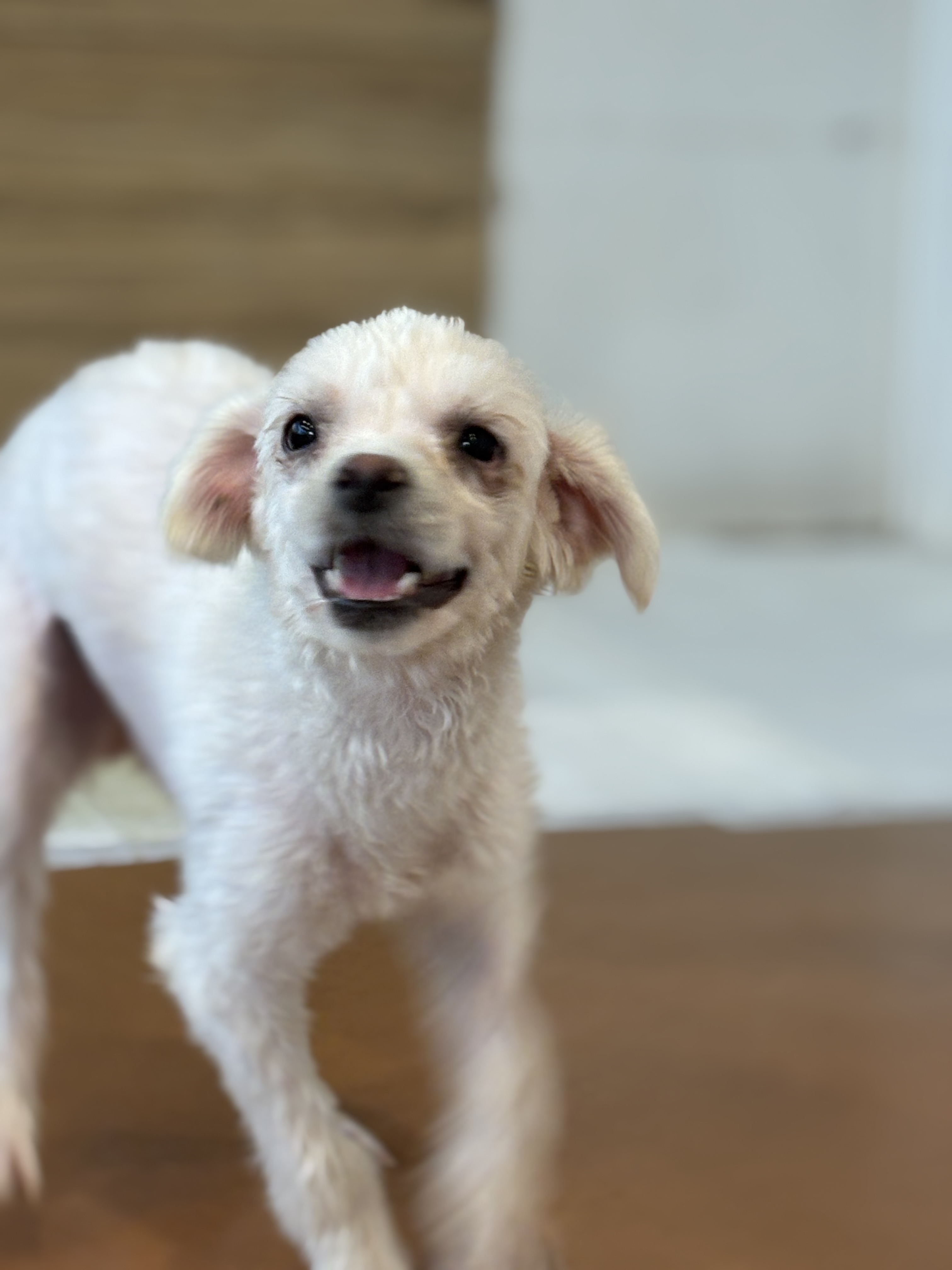 9ff6824c08da32726766aa191b43e3a6_1765420294_6684.jpg 9ff6824c08da32726766aa191b43e3a6_1765420294_6684.jpg