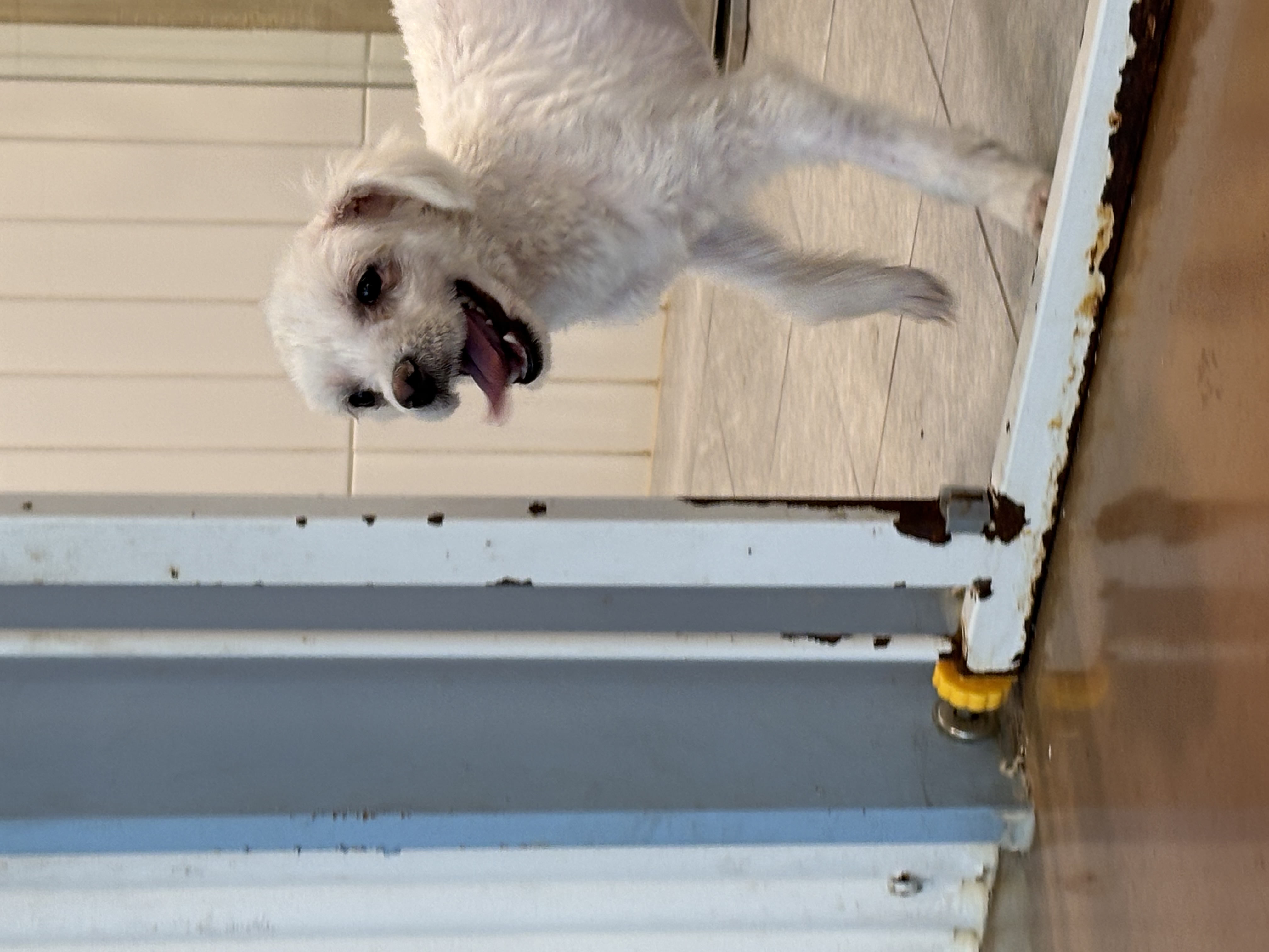 9ff6824c08da32726766aa191b43e3a6_1765420296_15.jpg 9ff6824c08da32726766aa191b43e3a6_1765420296_15.jpg