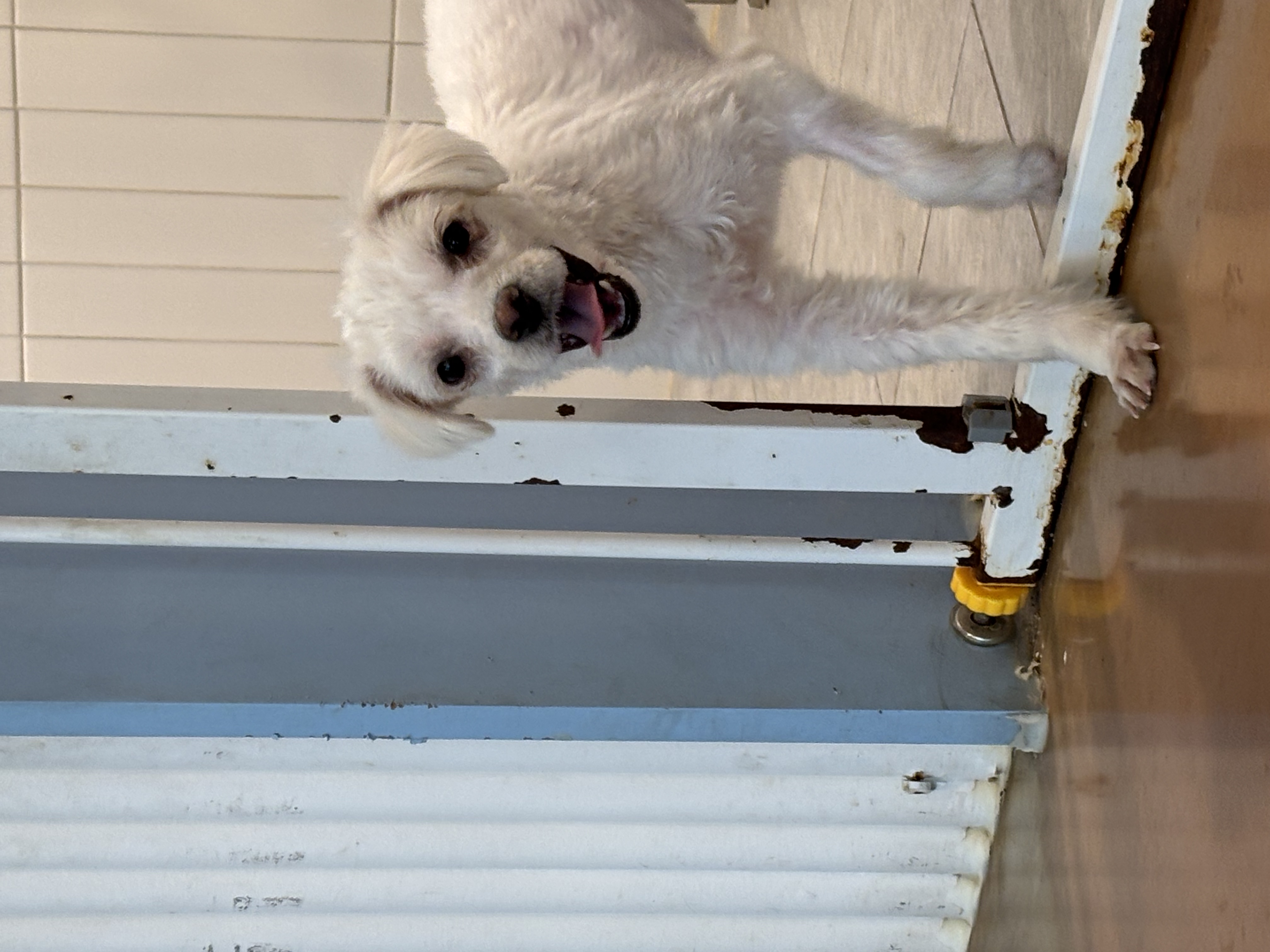 9ff6824c08da32726766aa191b43e3a6_1765420297_7237.jpg 9ff6824c08da32726766aa191b43e3a6_1765420297_7237.jpg