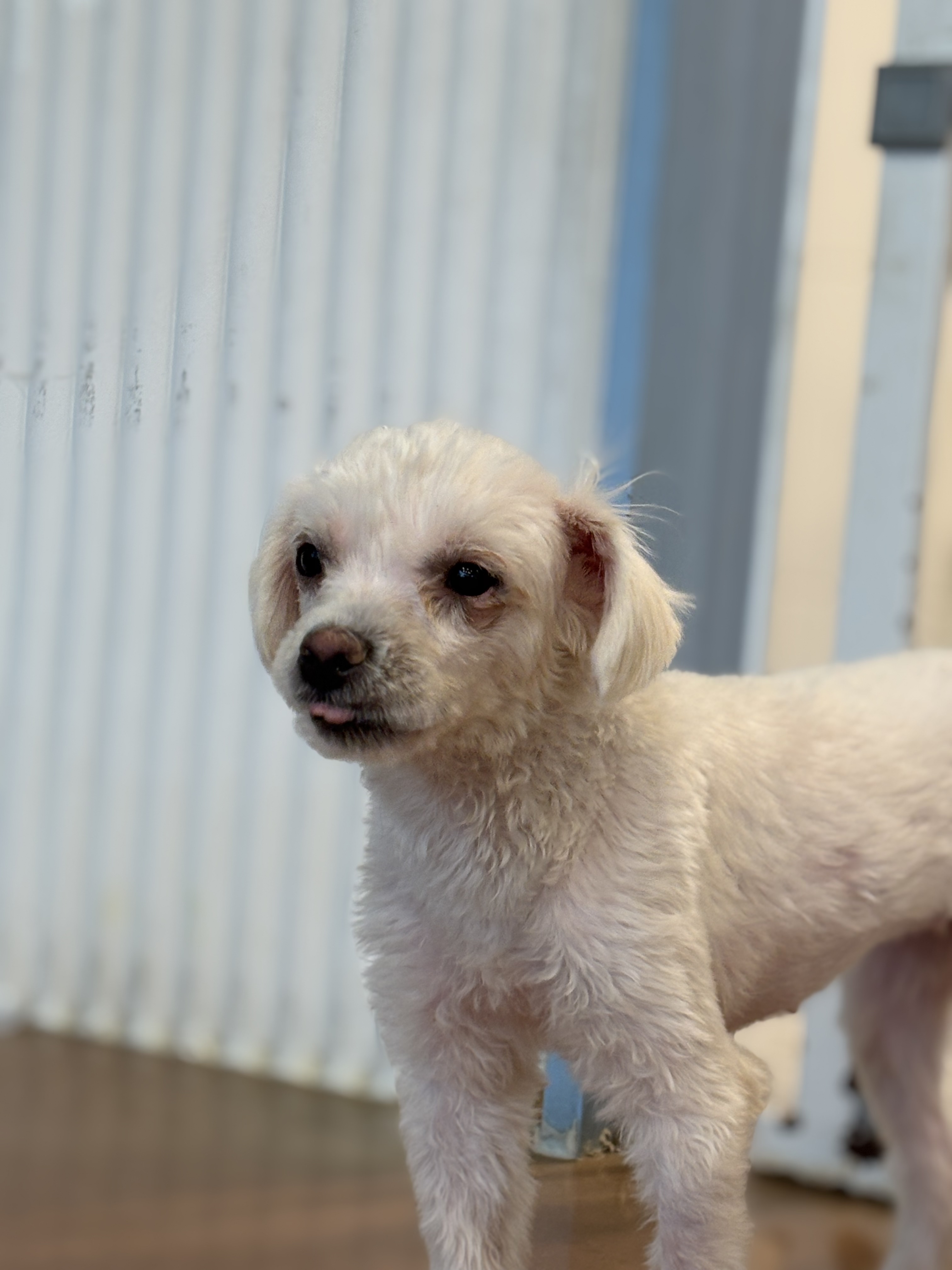 9ff6824c08da32726766aa191b43e3a6_1765420299_2379.jpg 9ff6824c08da32726766aa191b43e3a6_1765420299_2379.jpg