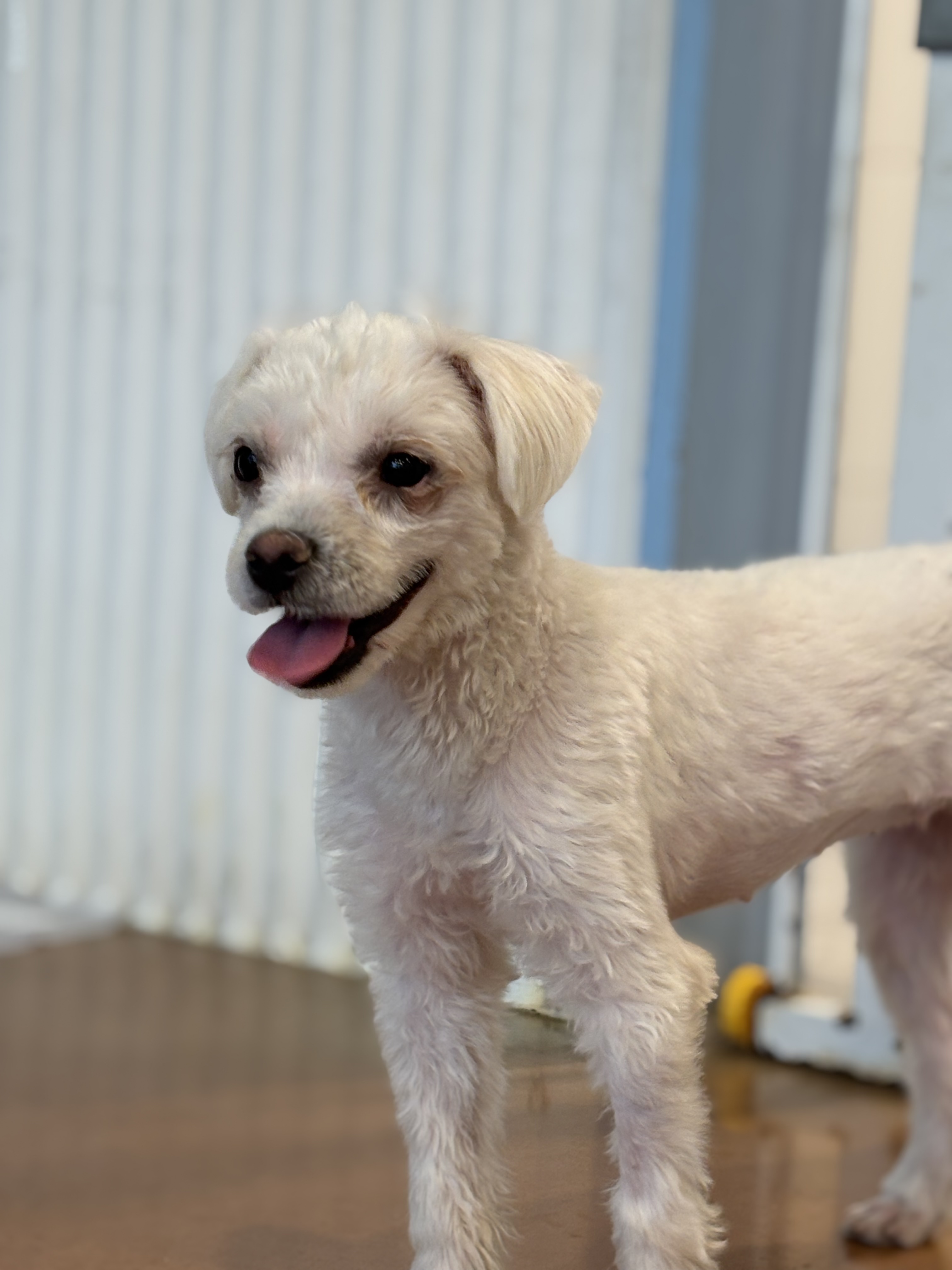 9ff6824c08da32726766aa191b43e3a6_1765420302_246.jpg 9ff6824c08da32726766aa191b43e3a6_1765420302_246.jpg