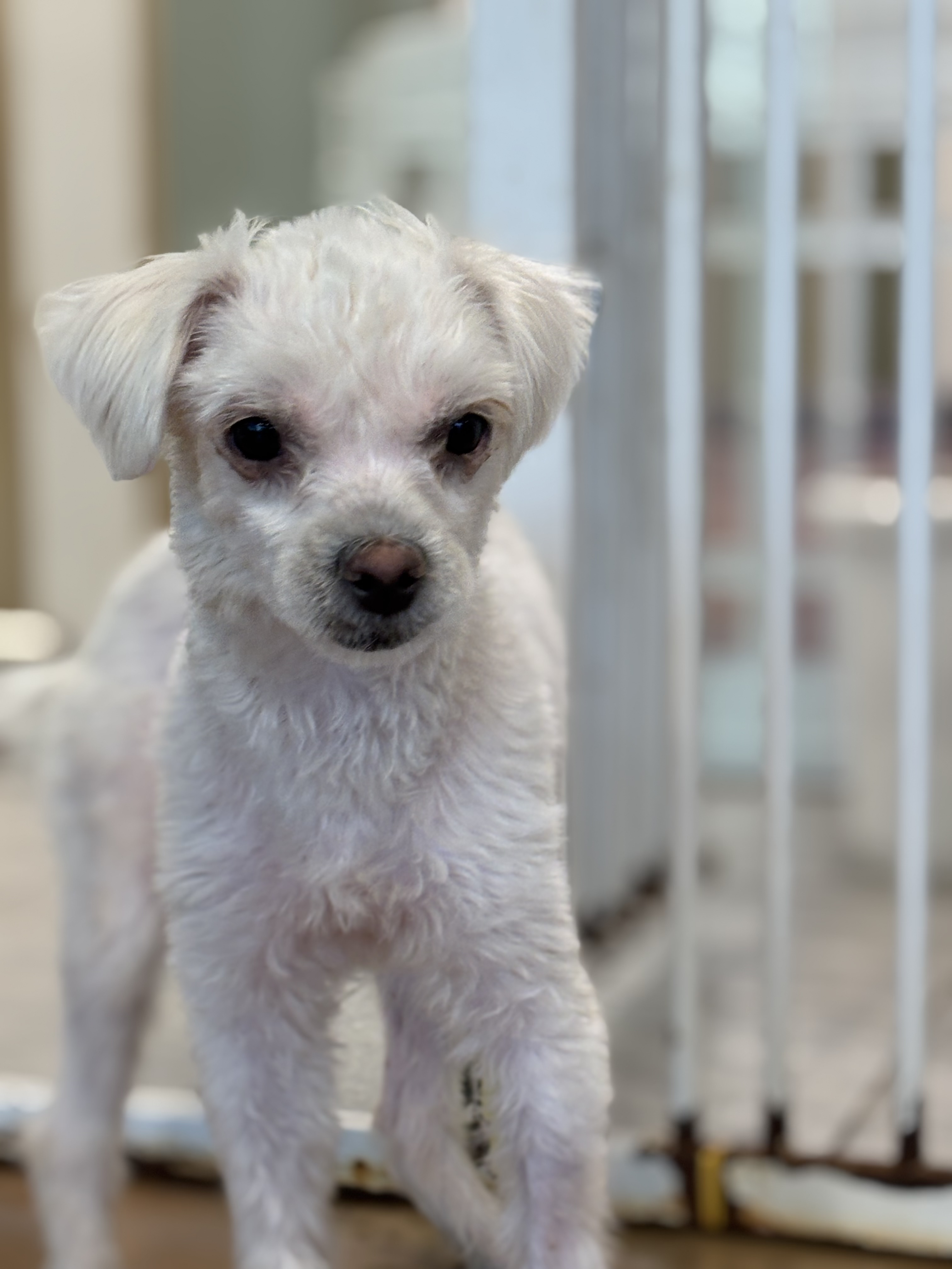 9ff6824c08da32726766aa191b43e3a6_1765420303_7526.jpg 9ff6824c08da32726766aa191b43e3a6_1765420303_7526.jpg