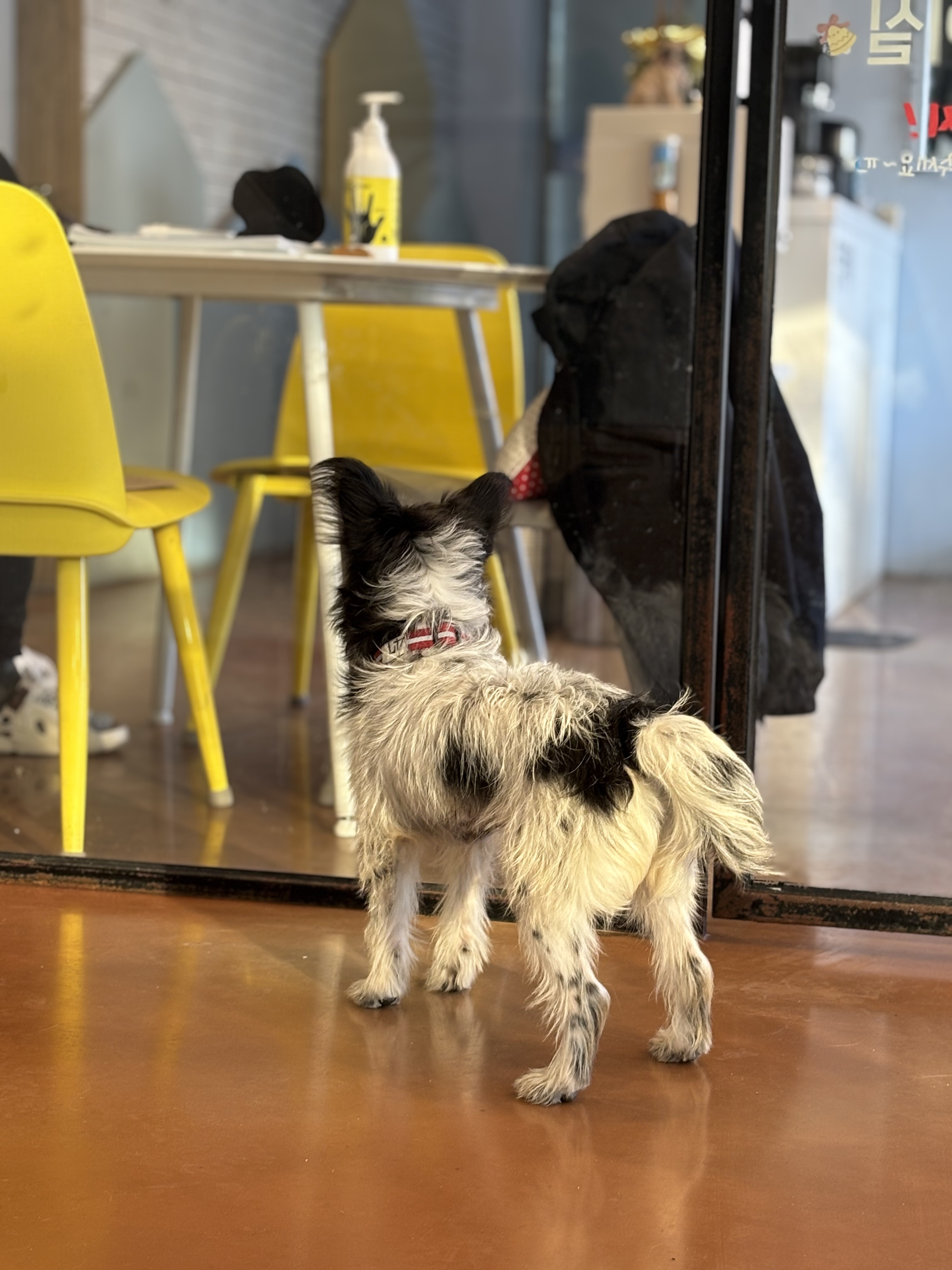 9ff6824c08da32726766aa191b43e3a6_1765420398_1419.jpg 9ff6824c08da32726766aa191b43e3a6_1765420398_1419.jpg