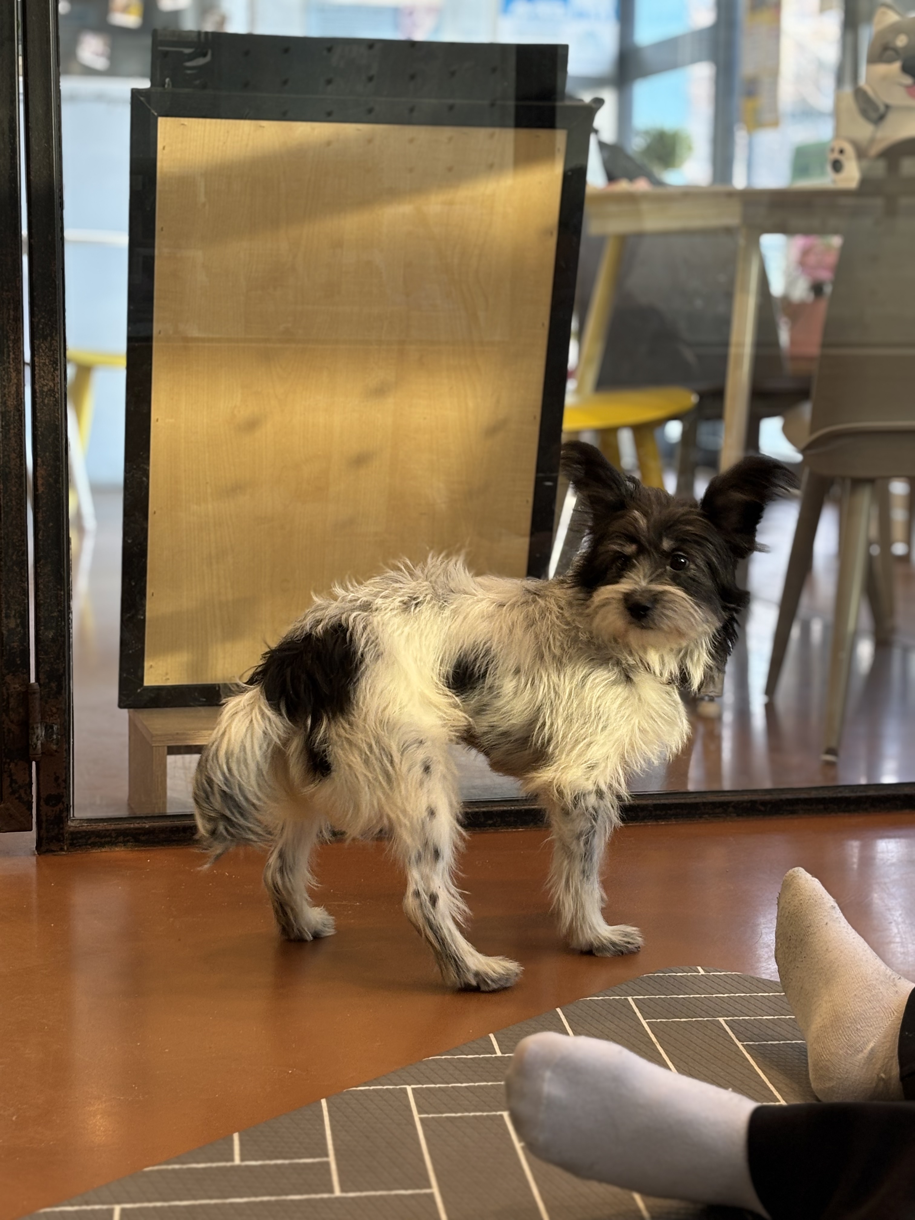 9ff6824c08da32726766aa191b43e3a6_1765420399_6423.jpg 9ff6824c08da32726766aa191b43e3a6_1765420399_6423.jpg