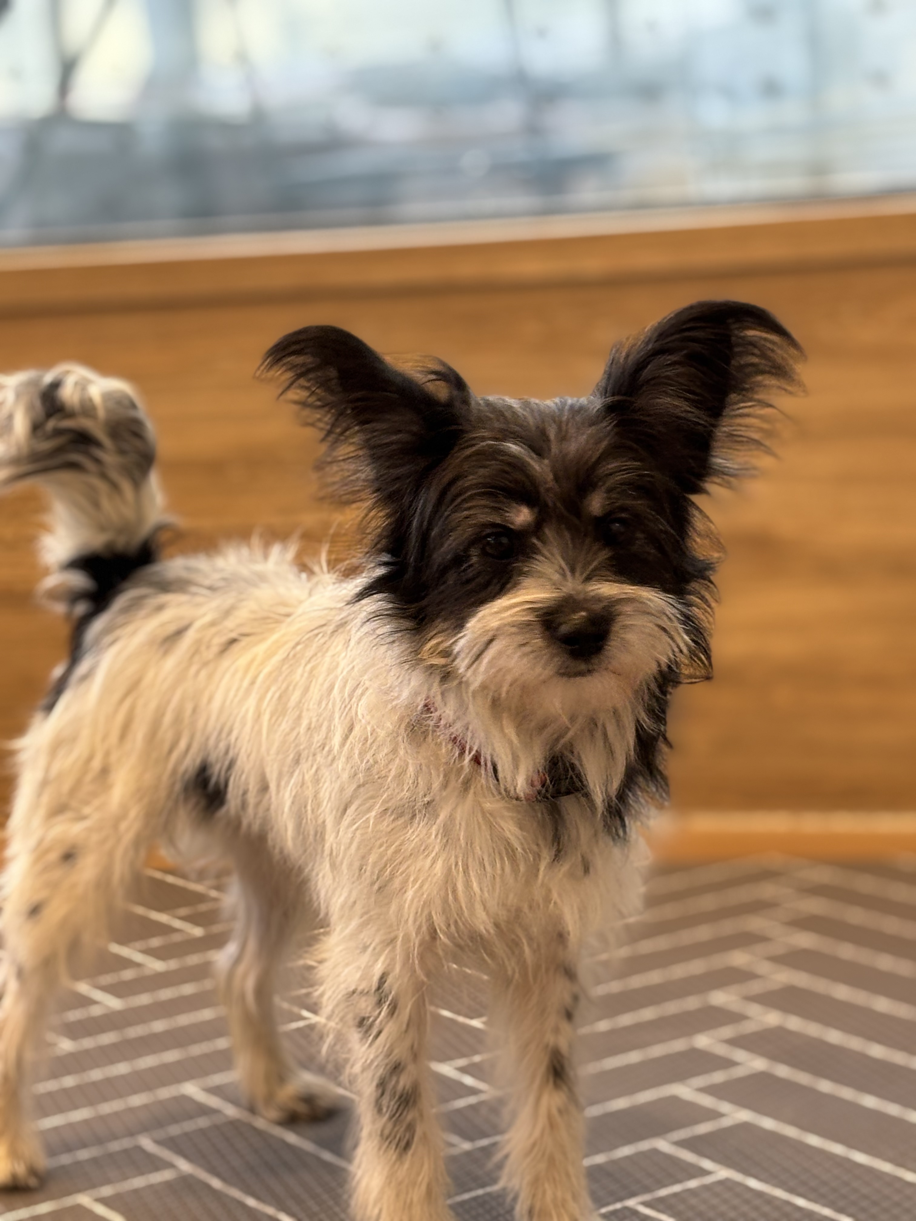 9ff6824c08da32726766aa191b43e3a6_1765420402_676.jpg 9ff6824c08da32726766aa191b43e3a6_1765420402_676.jpg