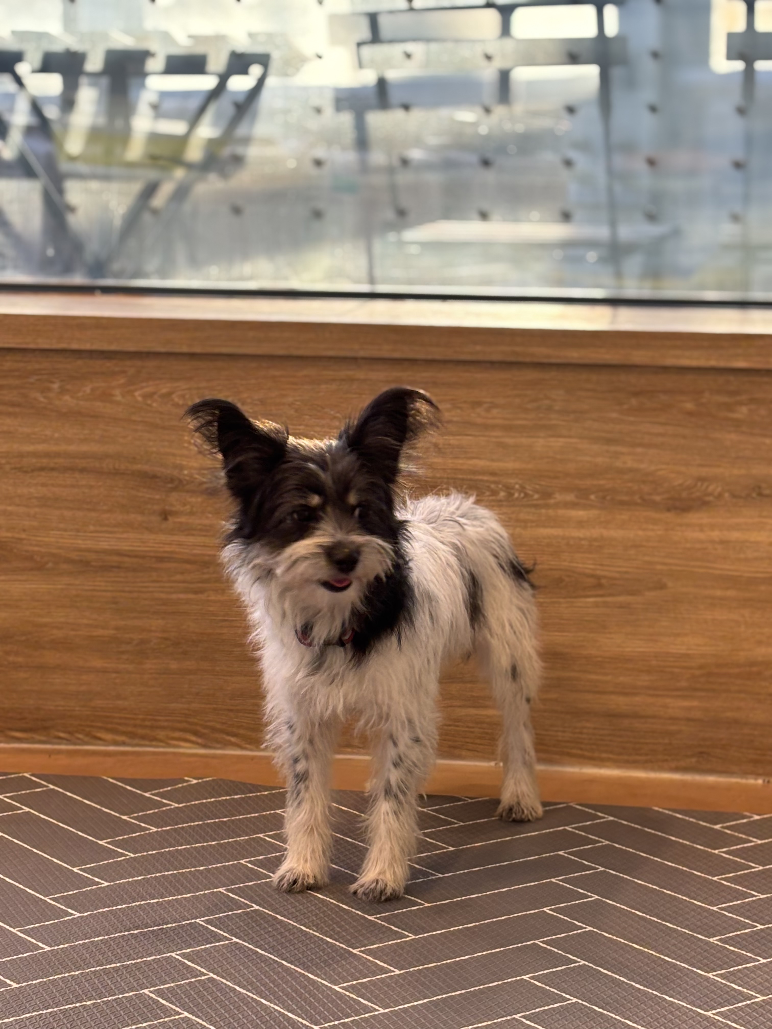 9ff6824c08da32726766aa191b43e3a6_1765420405_7604.jpg 9ff6824c08da32726766aa191b43e3a6_1765420405_7604.jpg