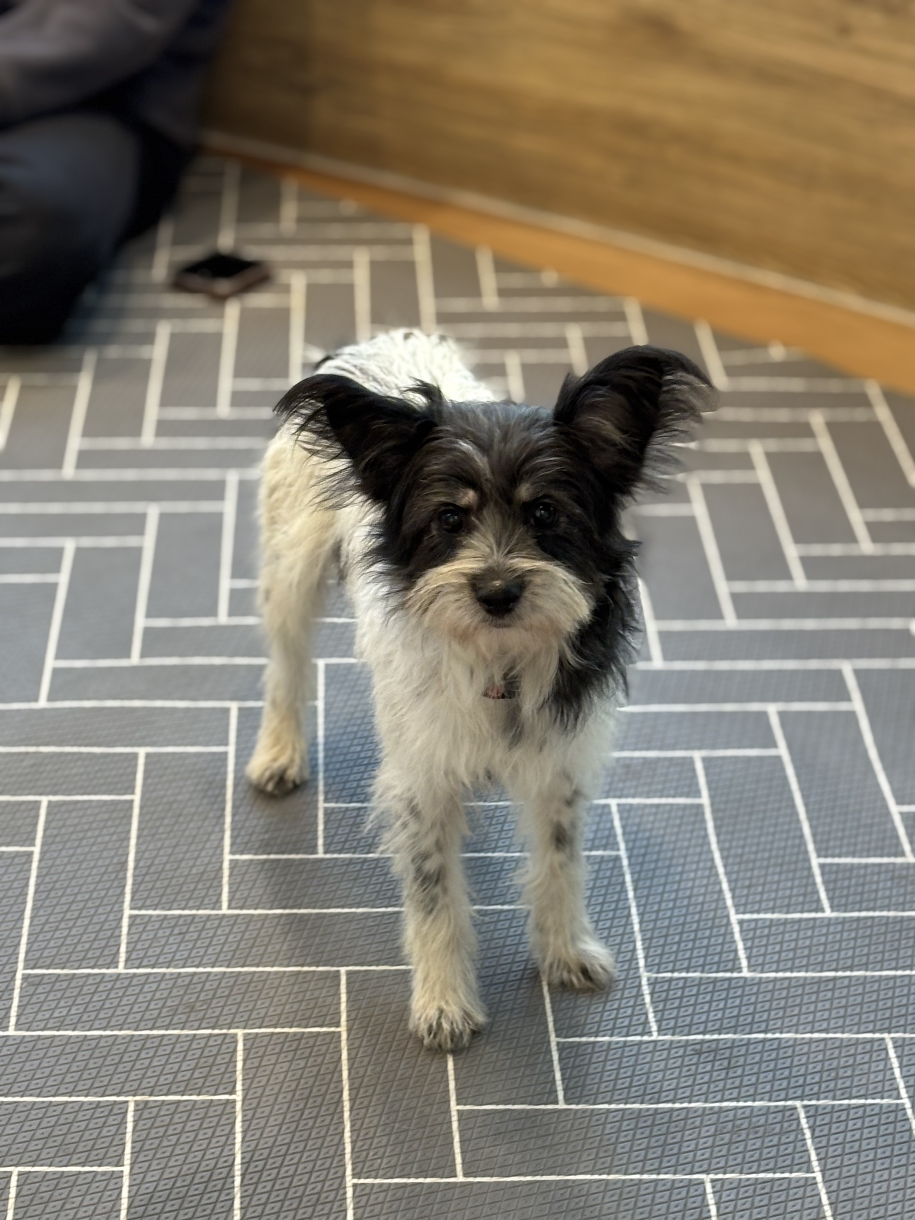 9ff6824c08da32726766aa191b43e3a6_1765420407_3794.jpg 9ff6824c08da32726766aa191b43e3a6_1765420407_3794.jpg