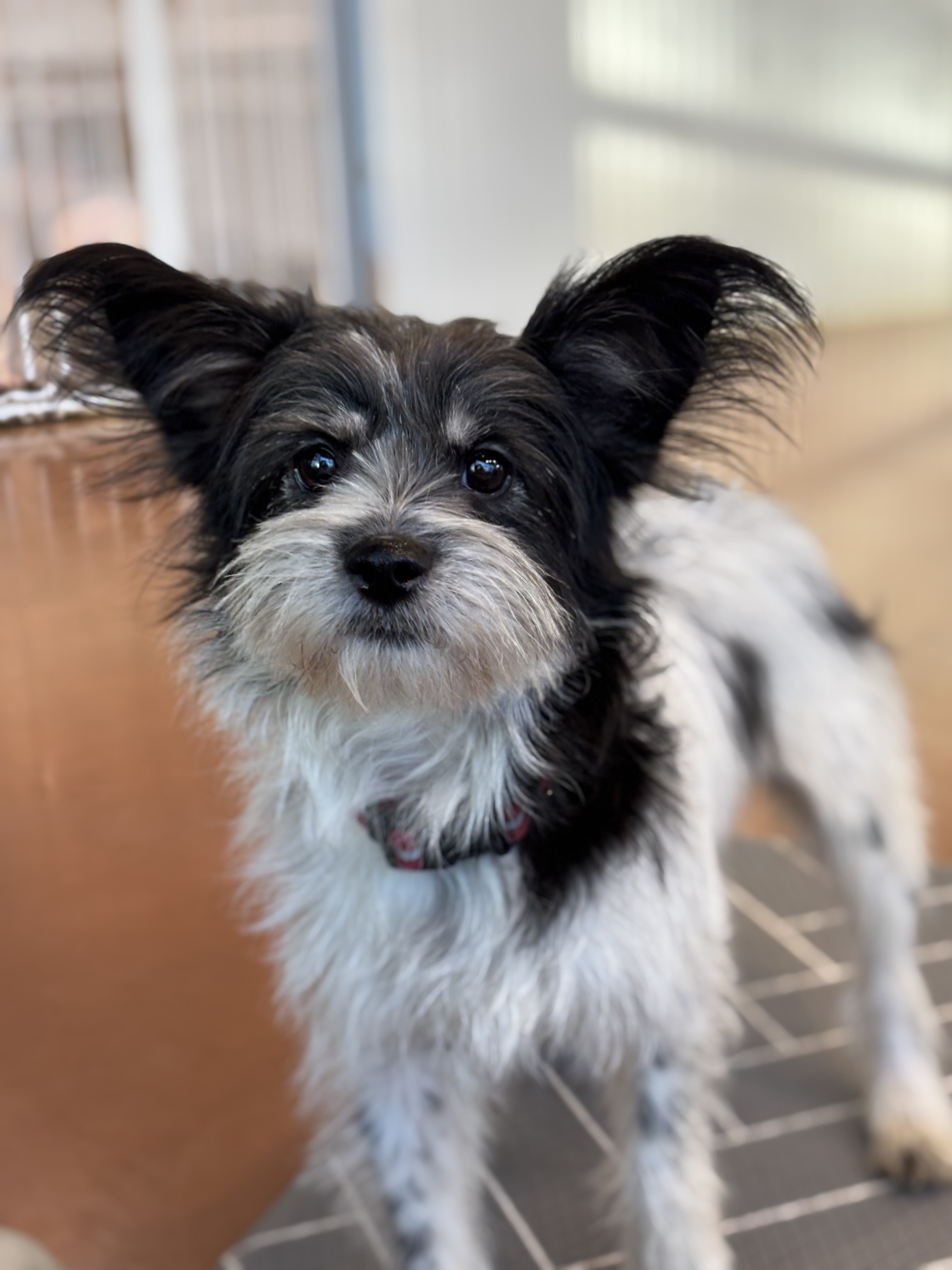 9ff6824c08da32726766aa191b43e3a6_1765420410_481.jpg 9ff6824c08da32726766aa191b43e3a6_1765420410_481.jpg