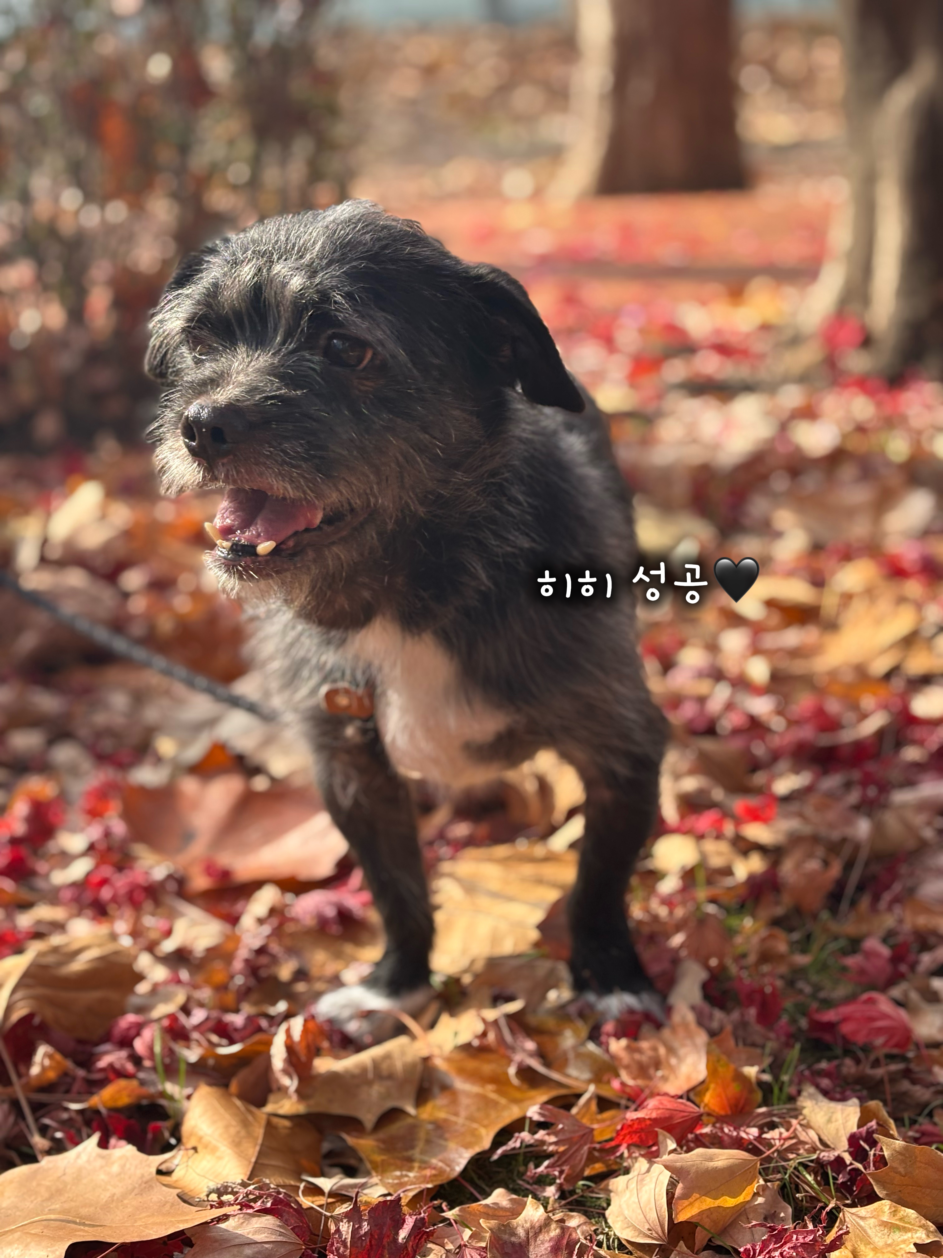 f0eddc77e8b6873cbcbea6401407d4b1_1764737293_53.jpg f0eddc77e8b6873cbcbea6401407d4b1_1764737293_53.jpg