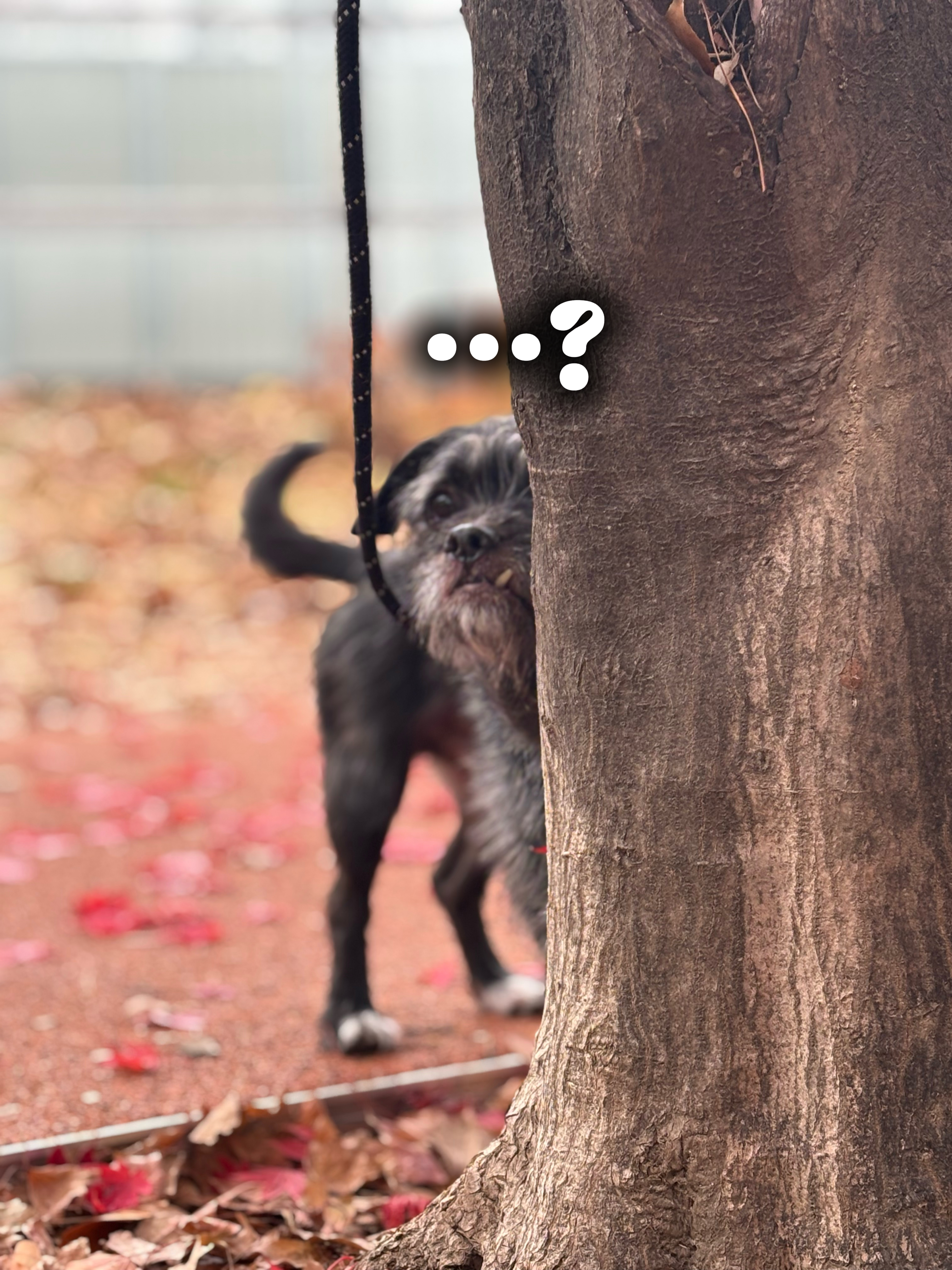 f0eddc77e8b6873cbcbea6401407d4b1_1764737298_6428.jpg f0eddc77e8b6873cbcbea6401407d4b1_1764737298_6428.jpg