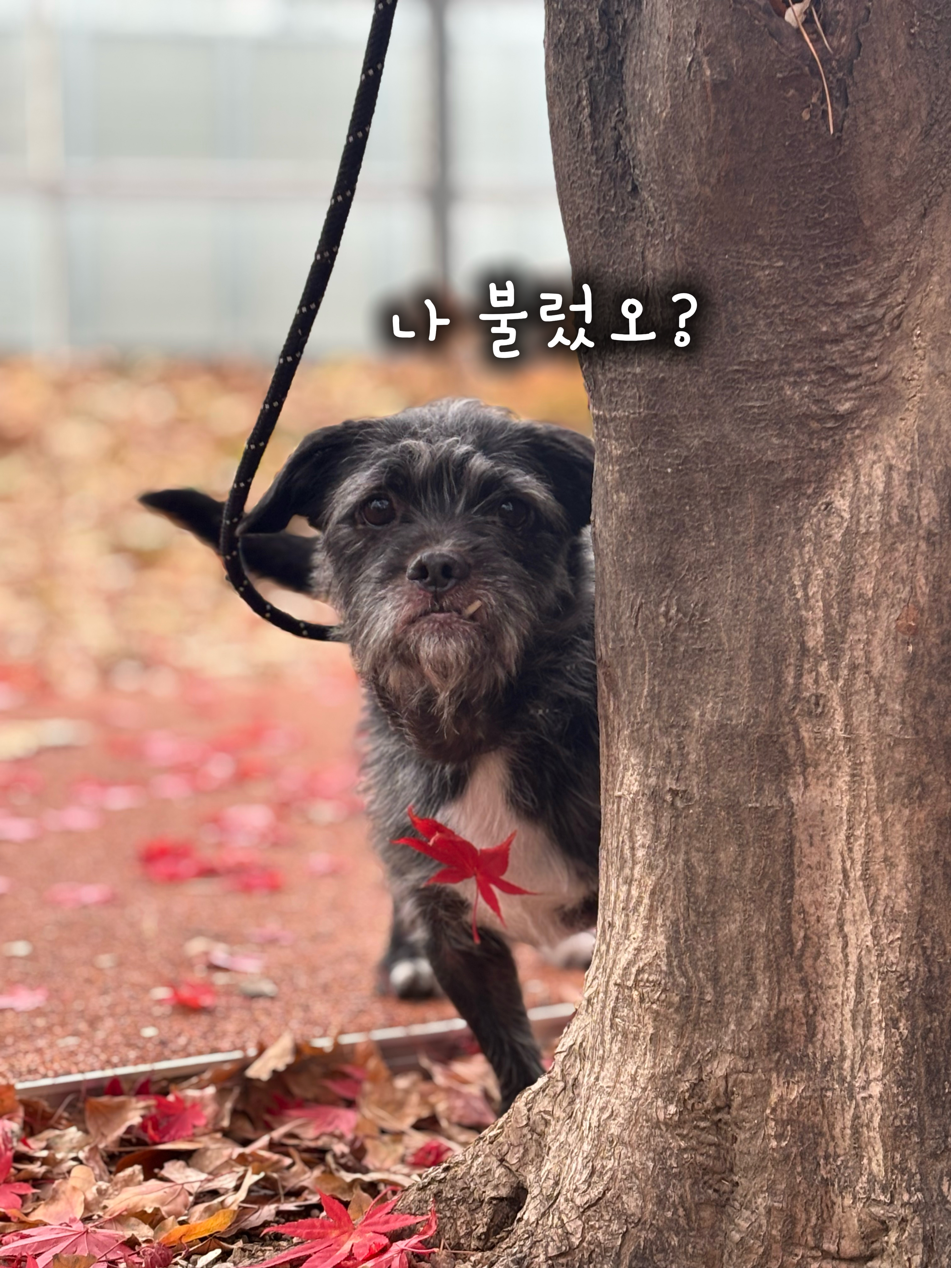 f0eddc77e8b6873cbcbea6401407d4b1_1764737302_0319.jpg f0eddc77e8b6873cbcbea6401407d4b1_1764737302_0319.jpg