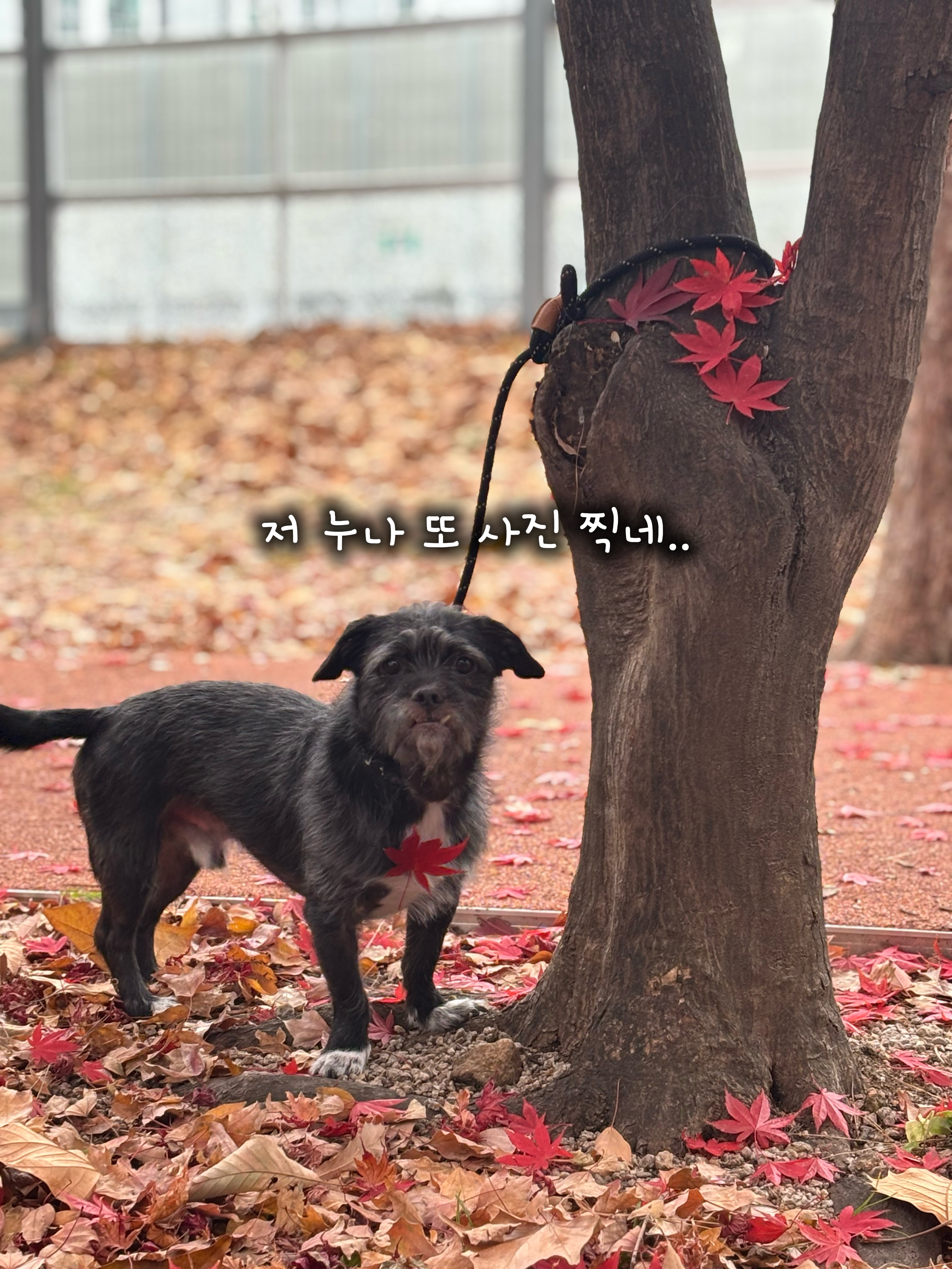 f0eddc77e8b6873cbcbea6401407d4b1_1764737304_2447.jpg f0eddc77e8b6873cbcbea6401407d4b1_1764737304_2447.jpg