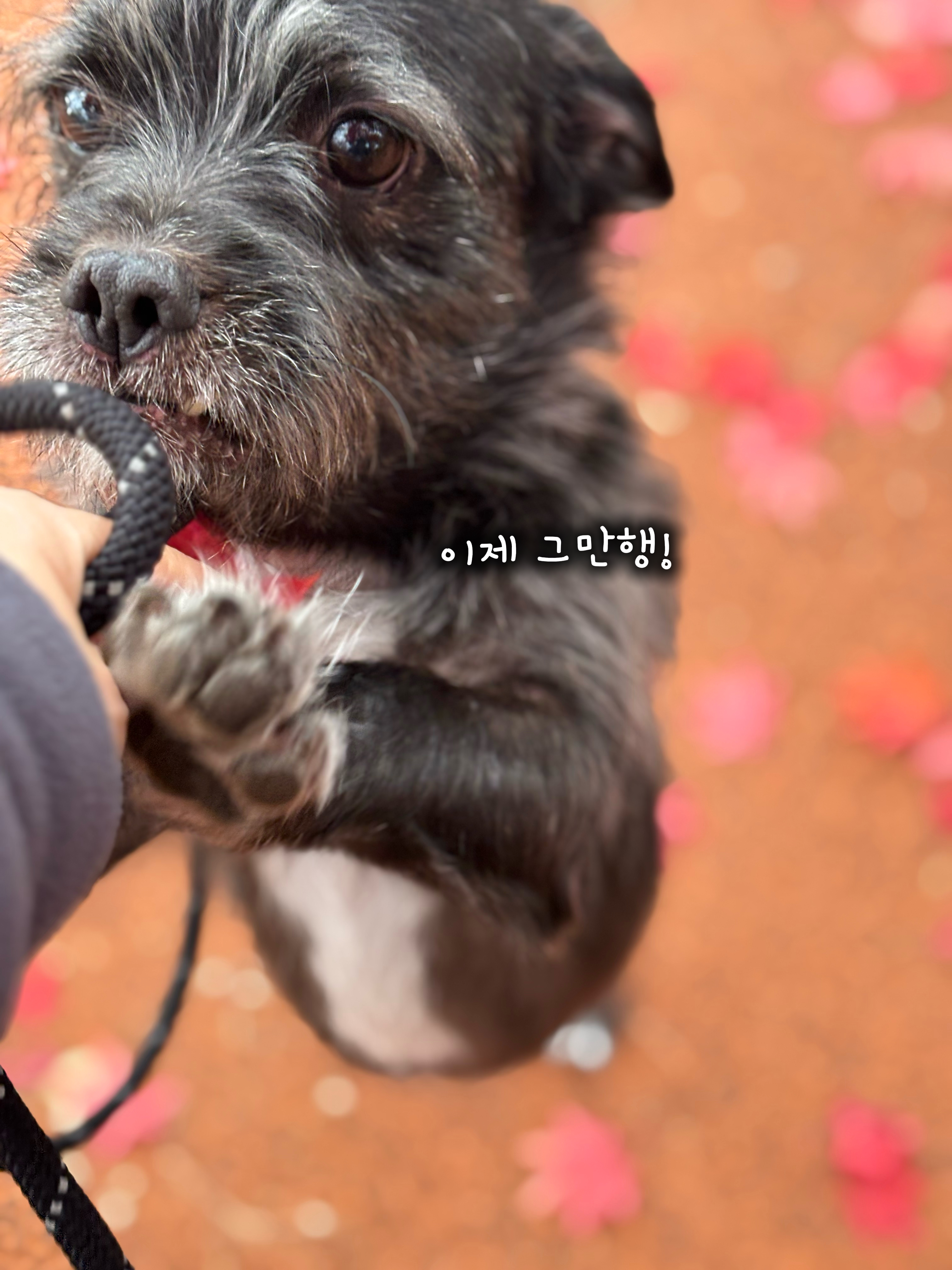 f0eddc77e8b6873cbcbea6401407d4b1_1764737309_9502.jpg f0eddc77e8b6873cbcbea6401407d4b1_1764737309_9502.jpg