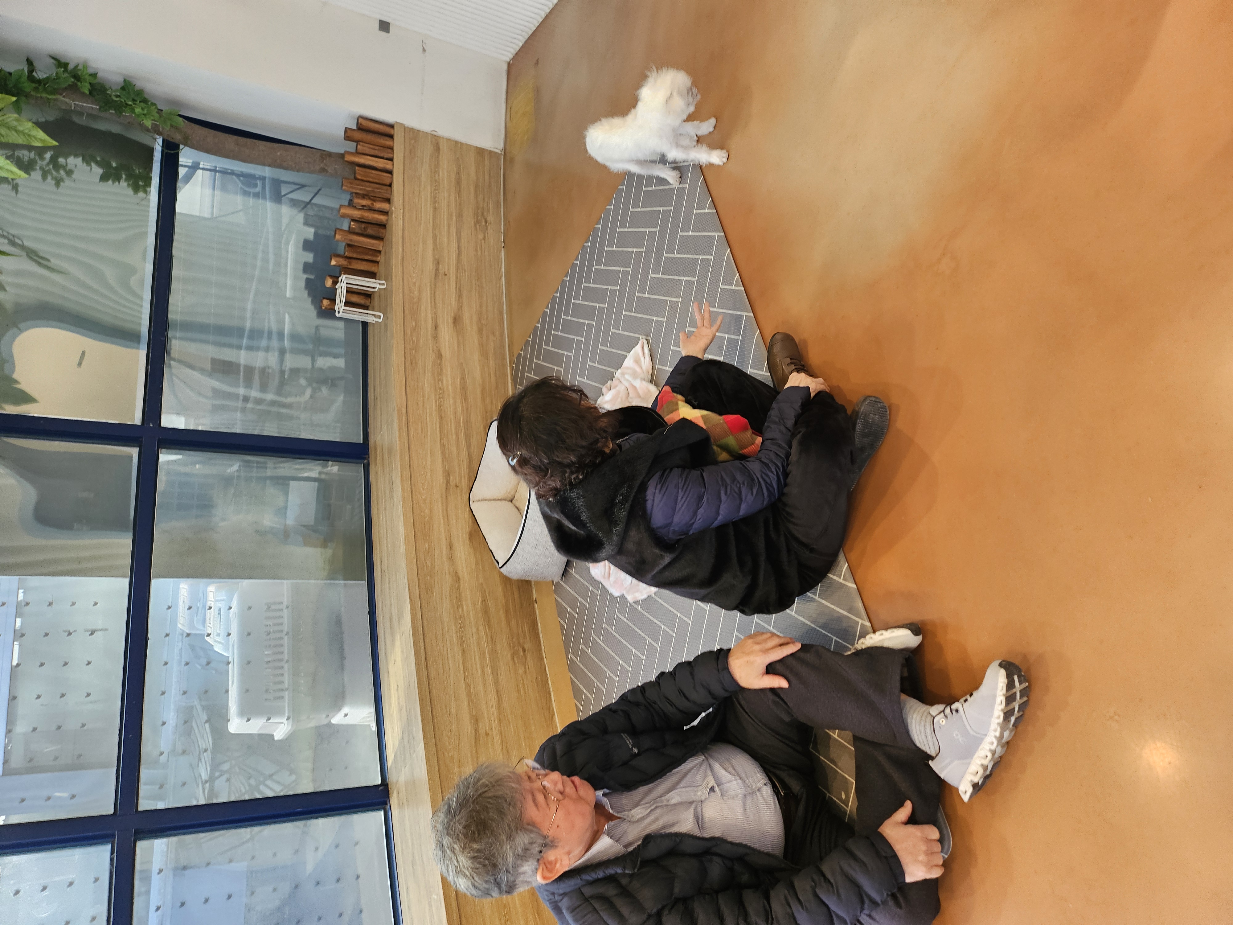 3385498ce6c213b9507c289cd708fbcf_1769325510_9939.jpg 3385498ce6c213b9507c289cd708fbcf_1769325510_9939.jpg