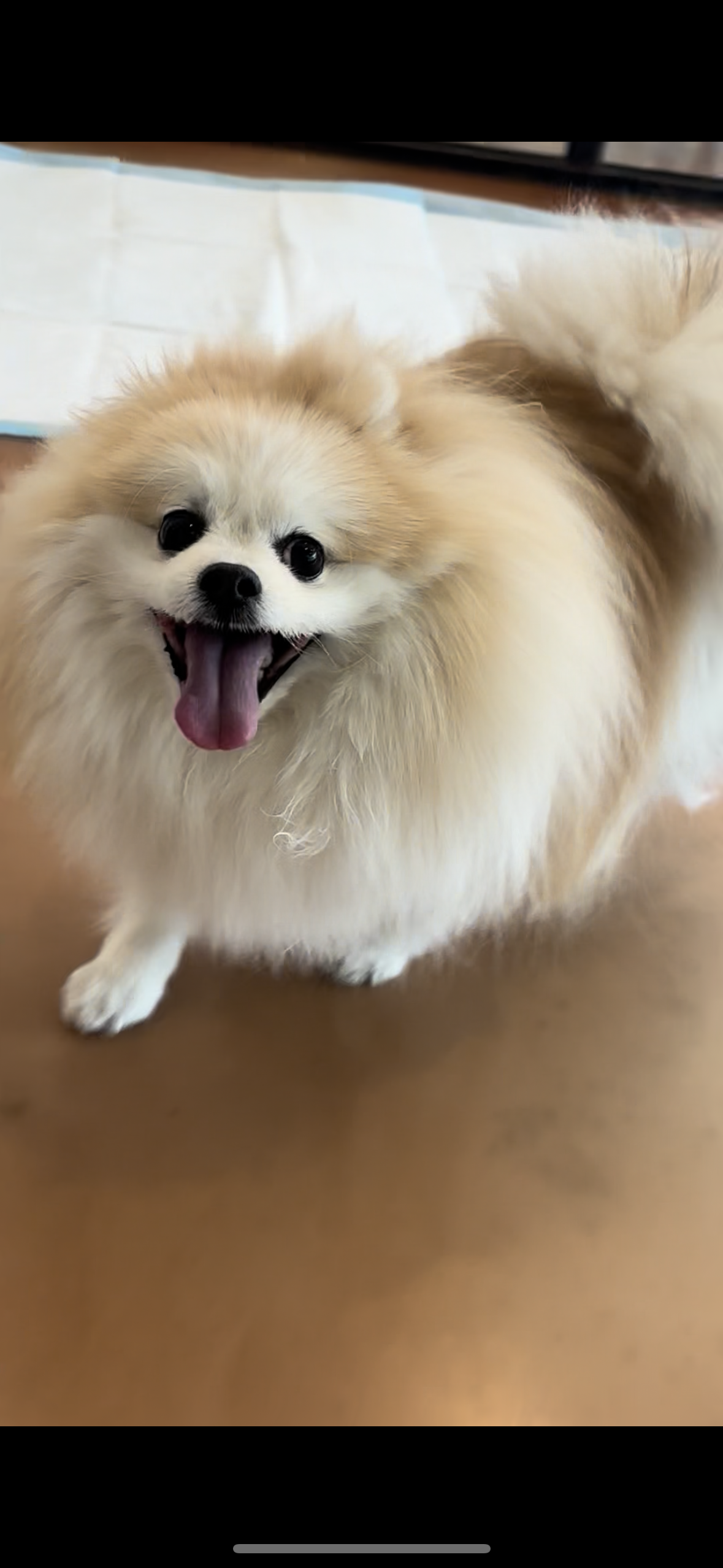 37000e98ec14d8d5ca8bdb8b17e43746_1769575642_095.png 37000e98ec14d8d5ca8bdb8b17e43746_1769575642_095.png