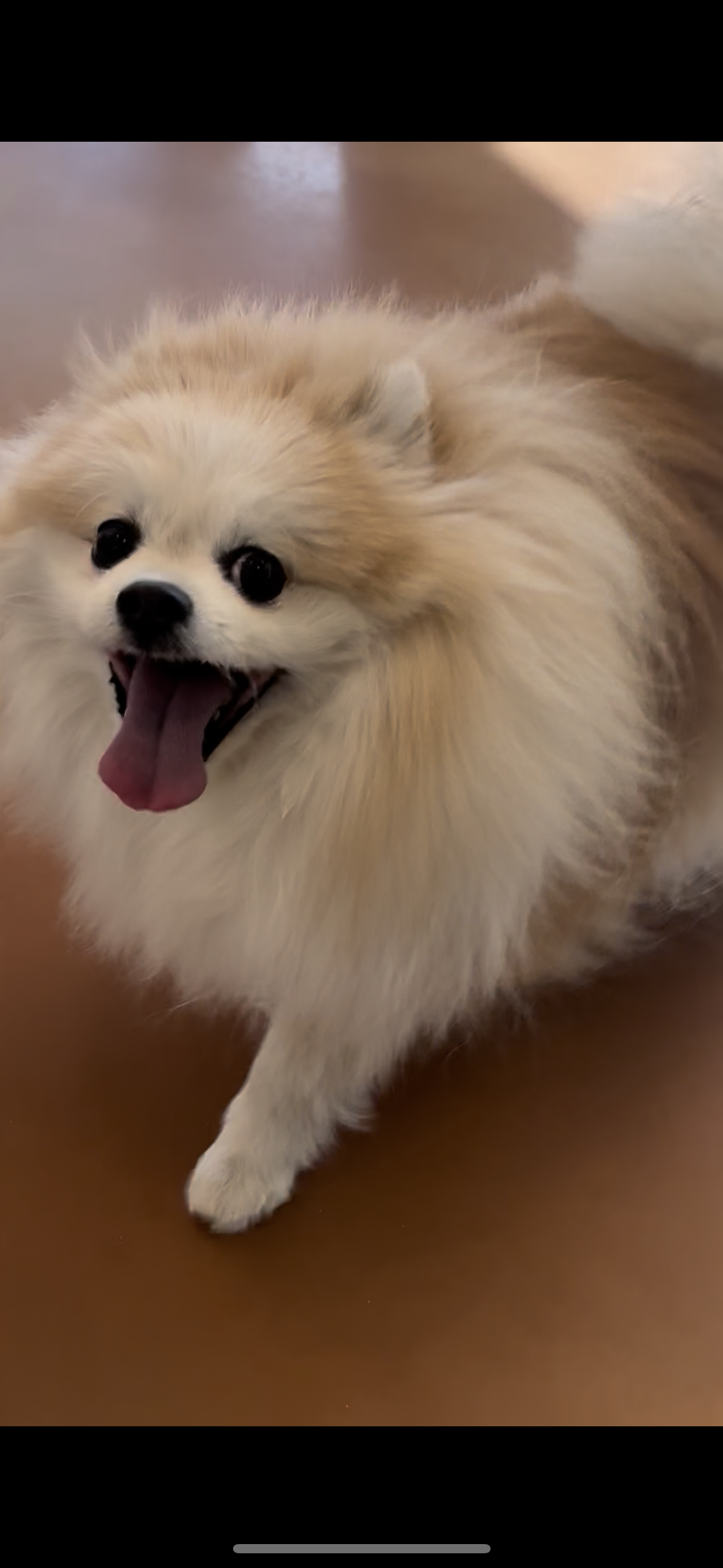 37000e98ec14d8d5ca8bdb8b17e43746_1769575646_892.png 37000e98ec14d8d5ca8bdb8b17e43746_1769575646_892.png