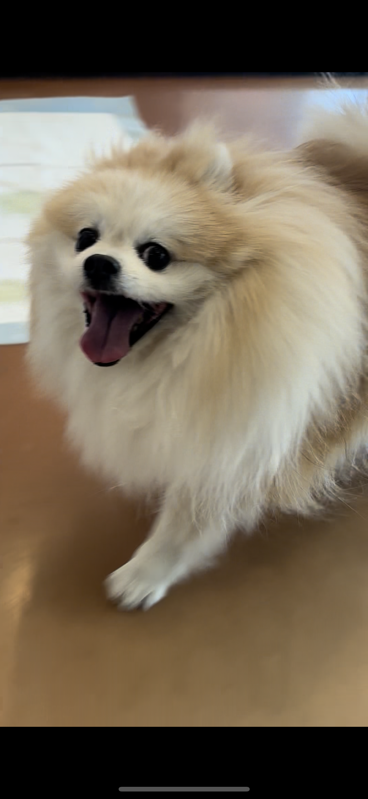 37000e98ec14d8d5ca8bdb8b17e43746_1769575648_7777.png 37000e98ec14d8d5ca8bdb8b17e43746_1769575648_7777.png