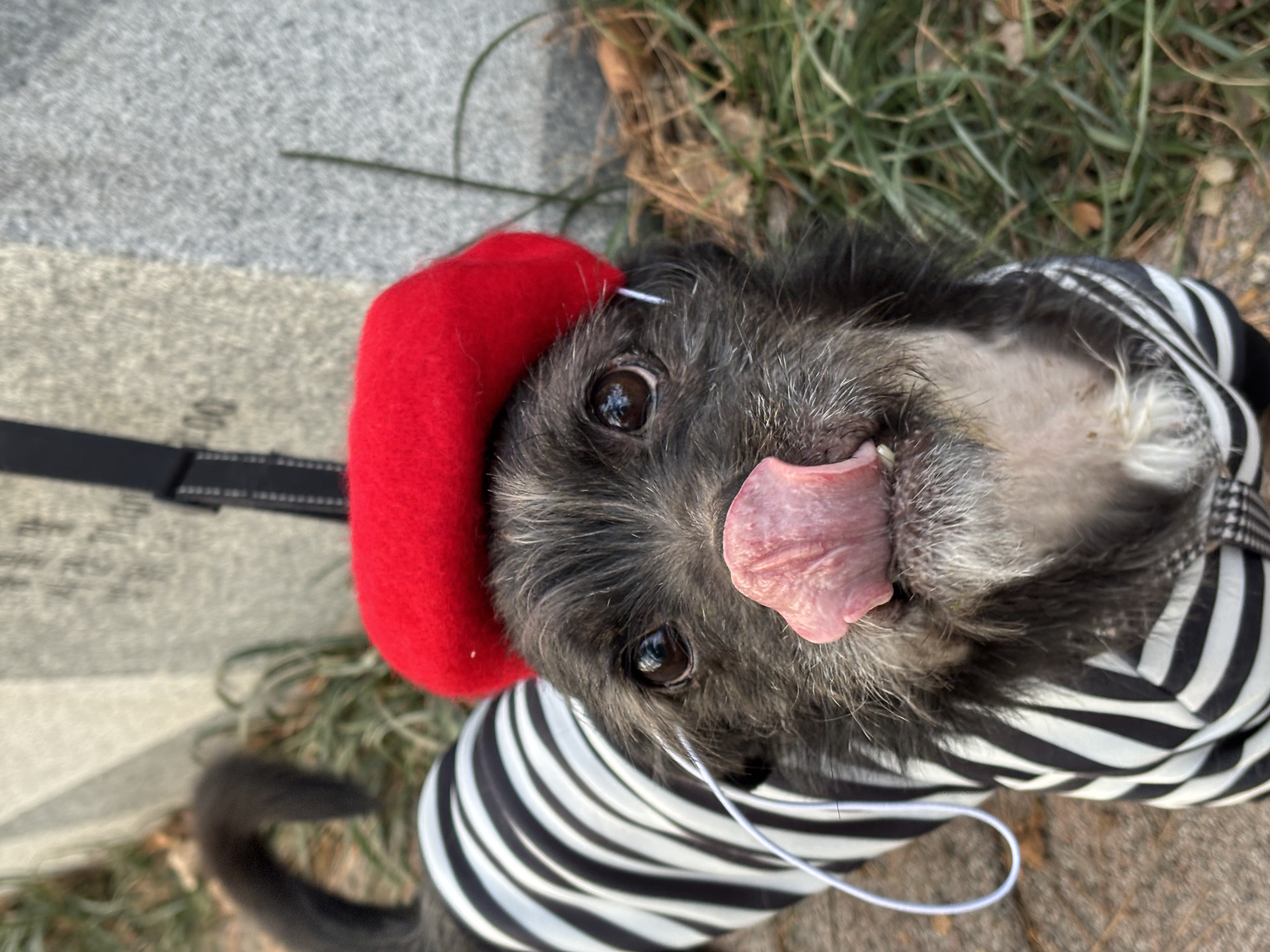 fff7a265e12a325b7c84f8bbe60cda48_1767515678_6118.jpg fff7a265e12a325b7c84f8bbe60cda48_1767515678_6118.jpg