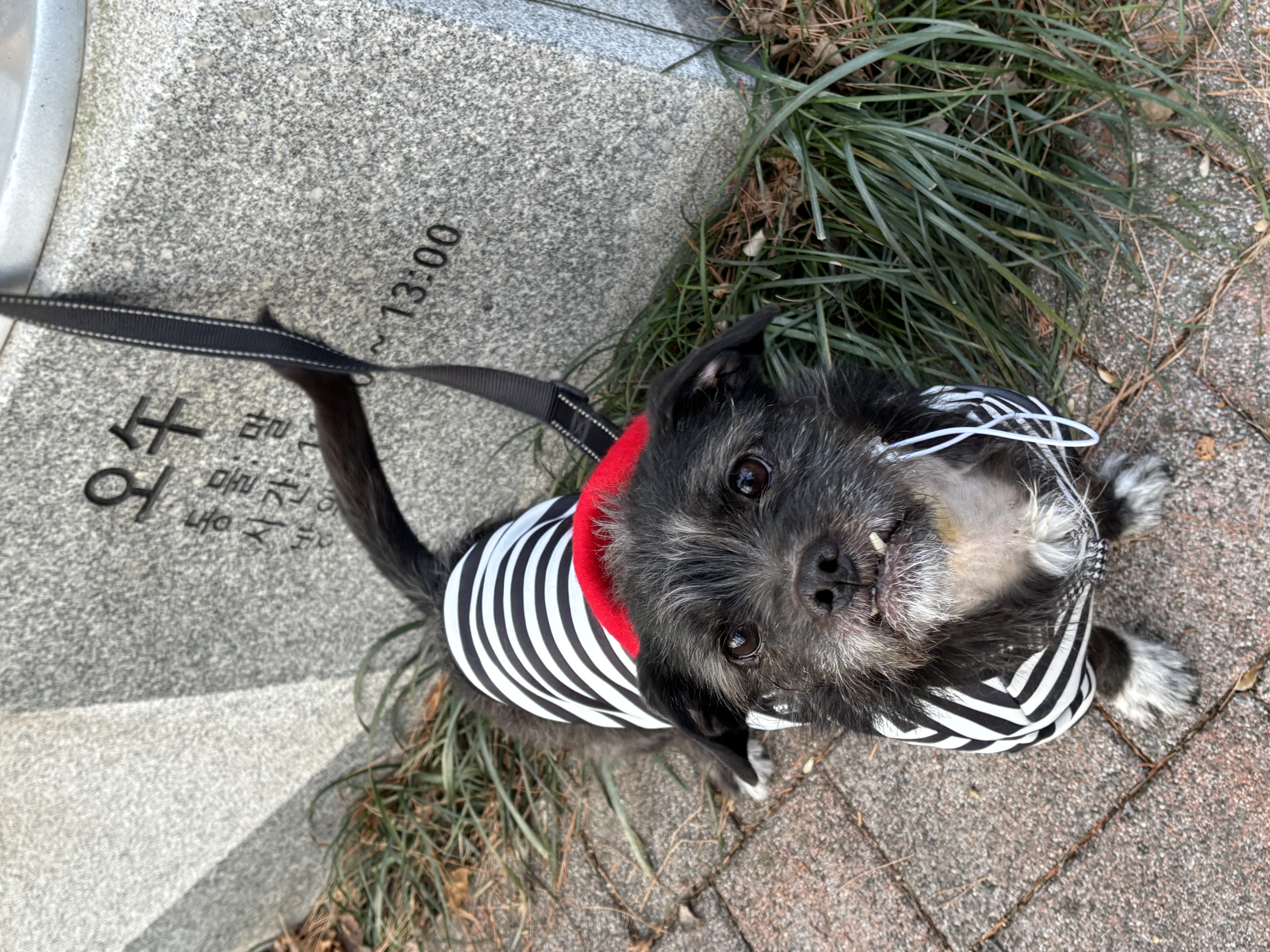 fff7a265e12a325b7c84f8bbe60cda48_1767515680_3117.jpg fff7a265e12a325b7c84f8bbe60cda48_1767515680_3117.jpg