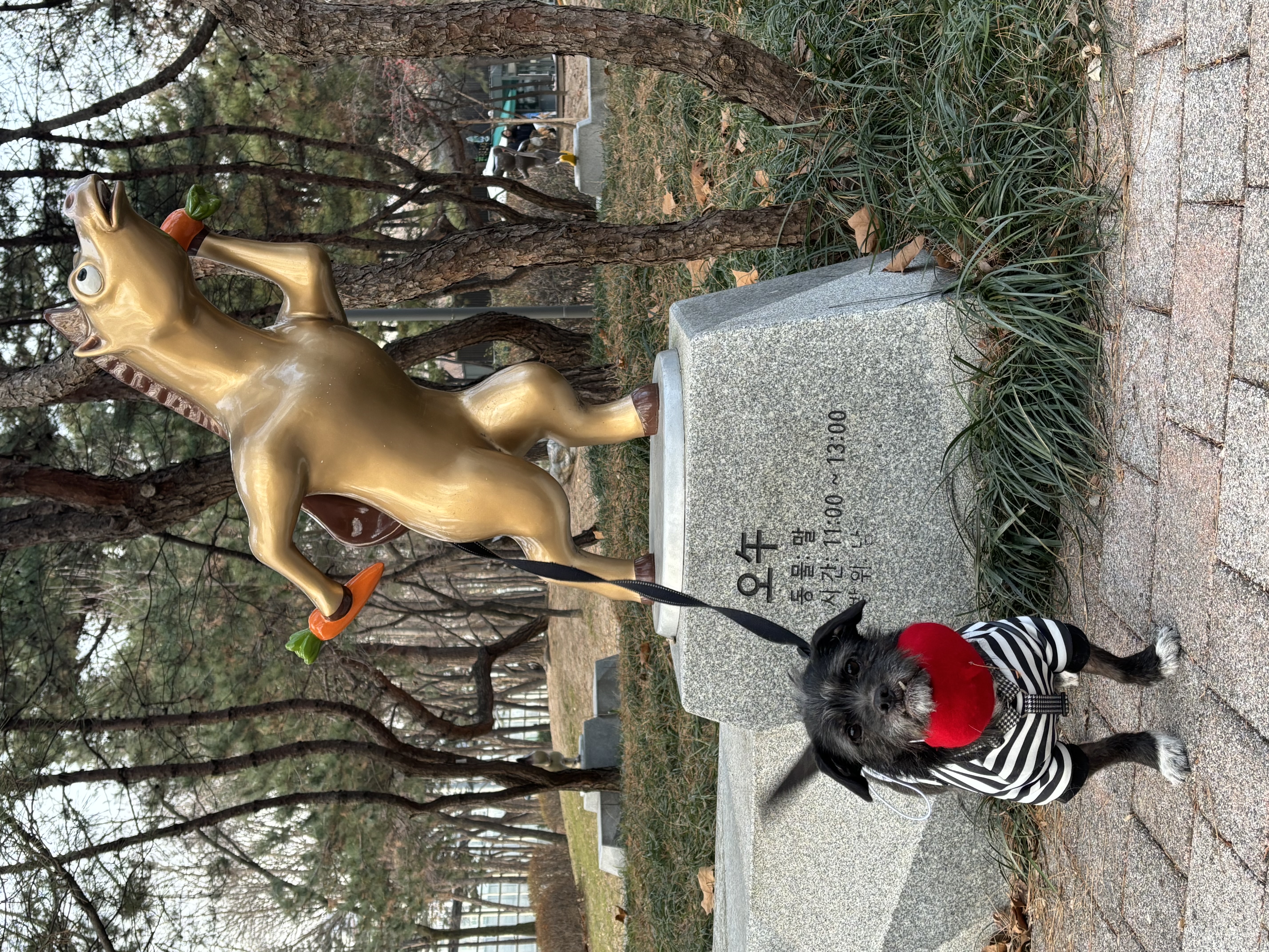 fff7a265e12a325b7c84f8bbe60cda48_1767515682_2514.jpg fff7a265e12a325b7c84f8bbe60cda48_1767515682_2514.jpg