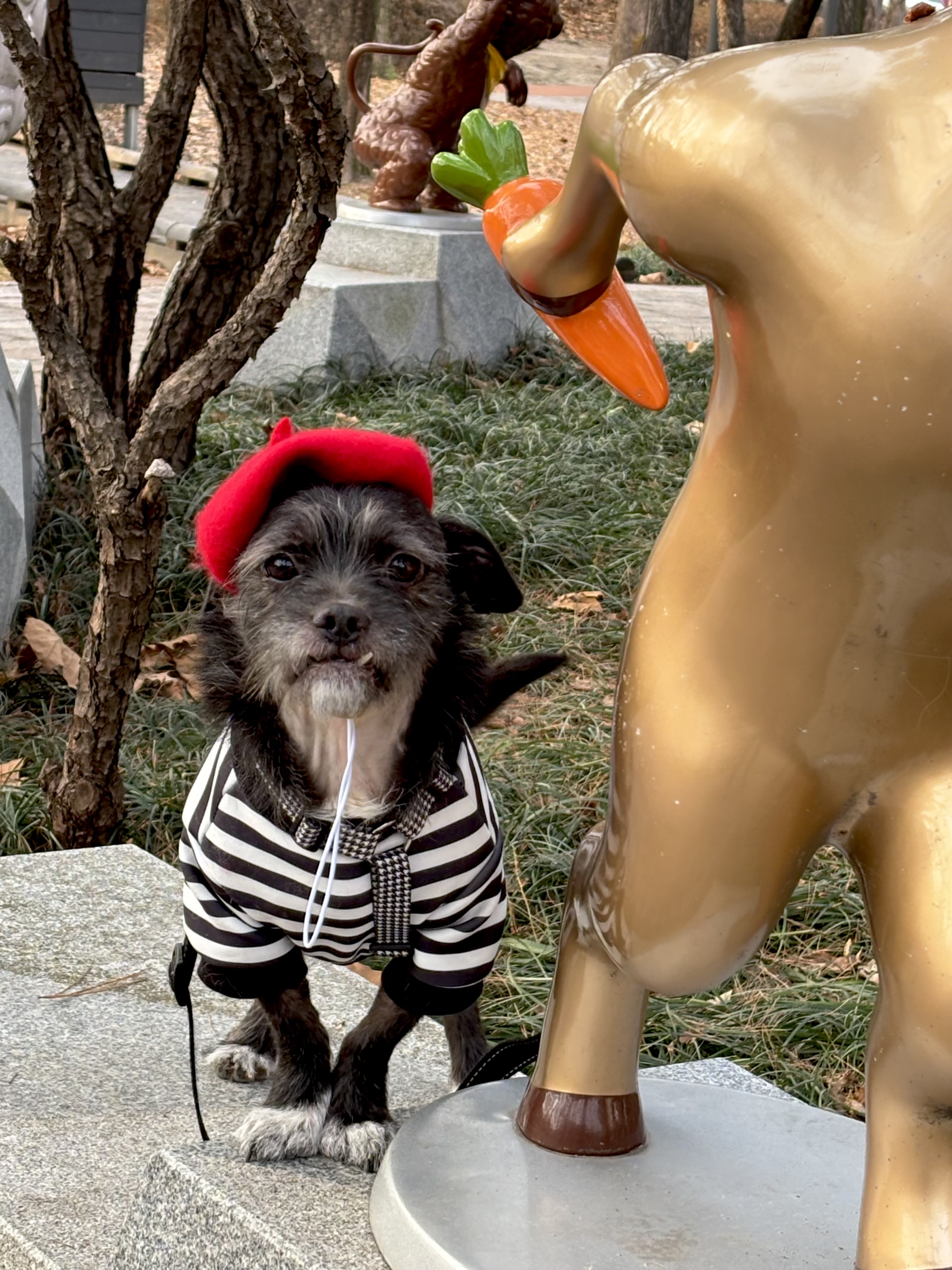 fff7a265e12a325b7c84f8bbe60cda48_1767515684_2244.jpg fff7a265e12a325b7c84f8bbe60cda48_1767515684_2244.jpg