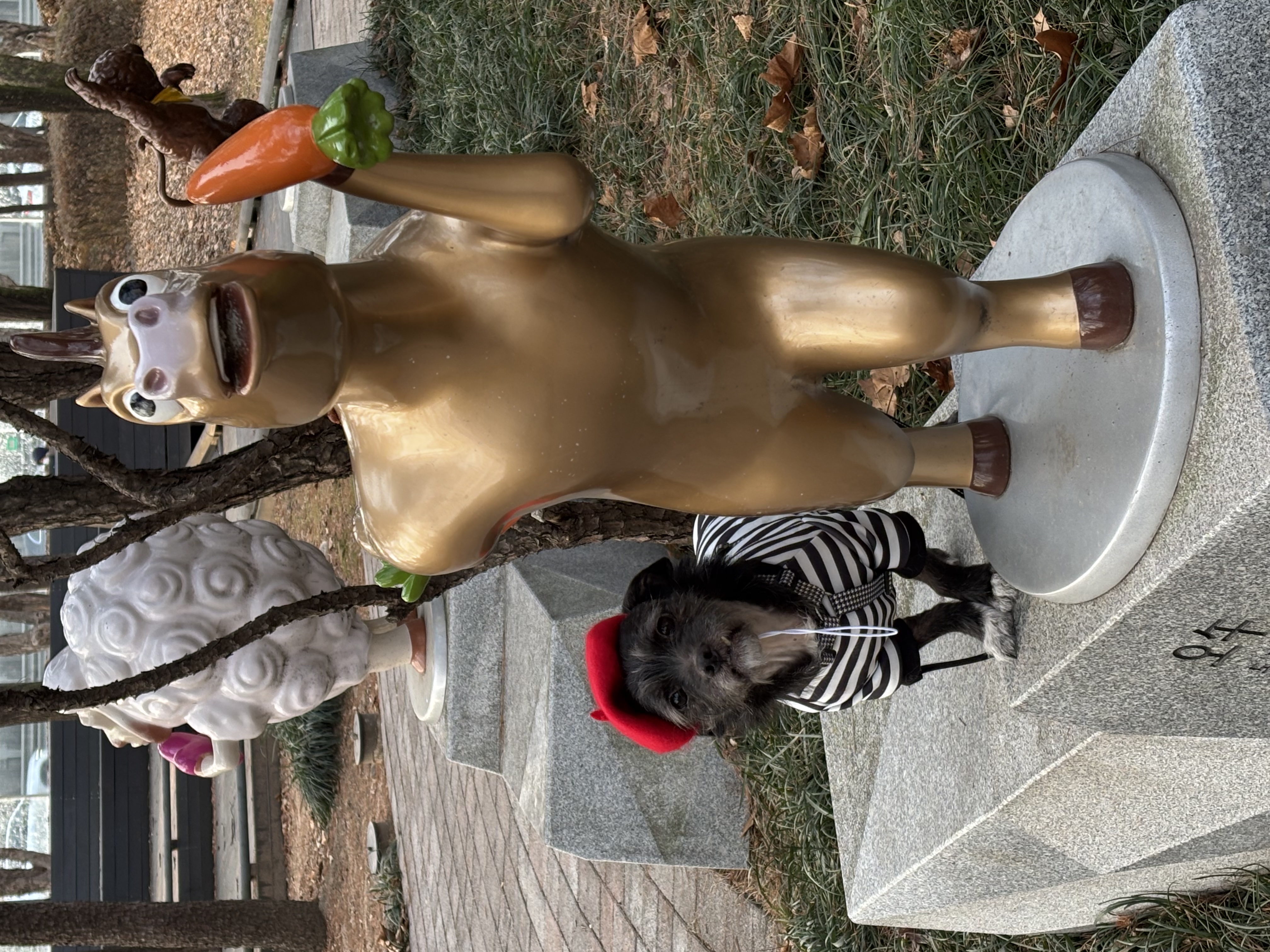 fff7a265e12a325b7c84f8bbe60cda48_1767515685_9273.jpg fff7a265e12a325b7c84f8bbe60cda48_1767515685_9273.jpg