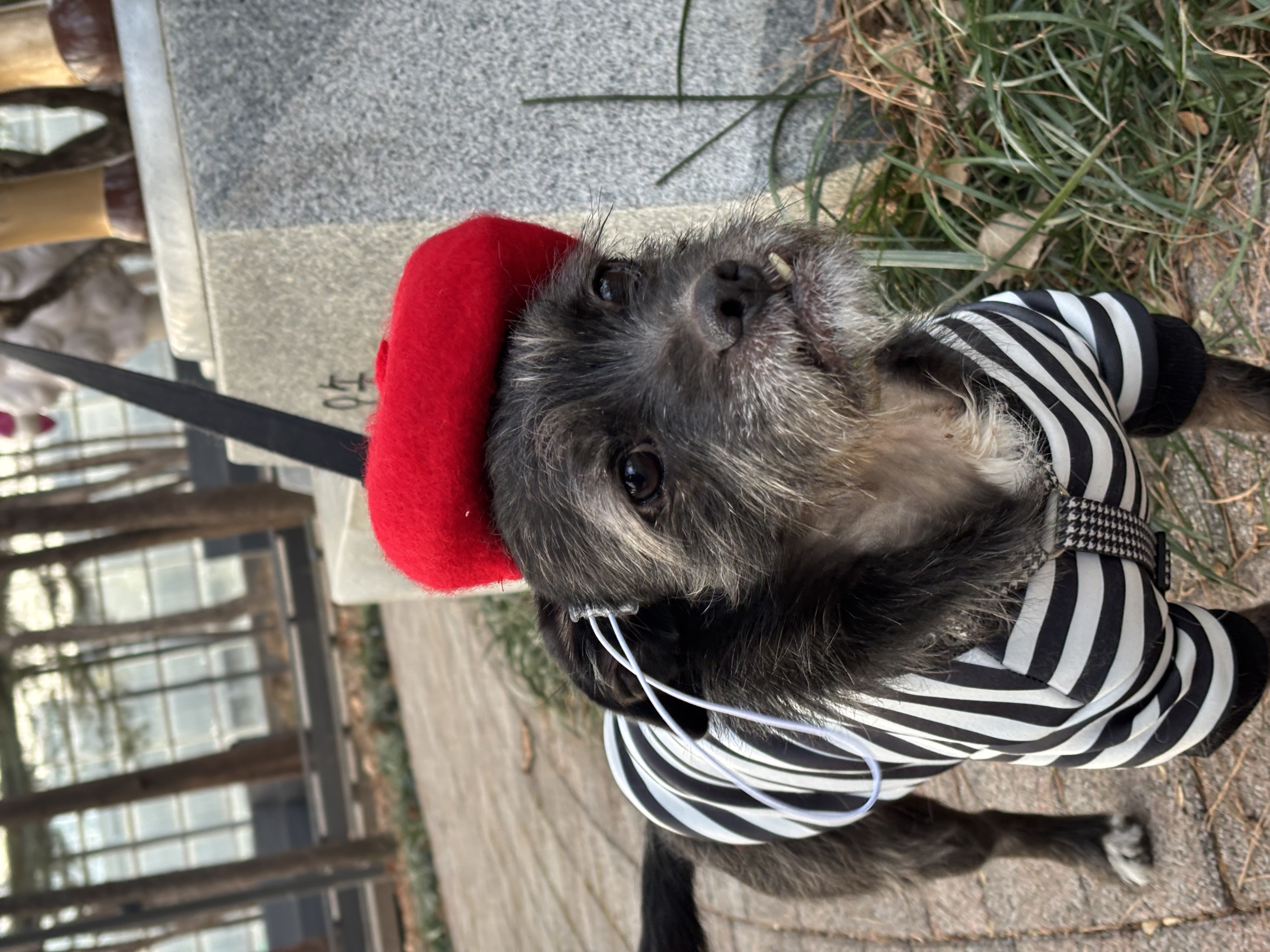 fff7a265e12a325b7c84f8bbe60cda48_1767515687_7292.jpg fff7a265e12a325b7c84f8bbe60cda48_1767515687_7292.jpg