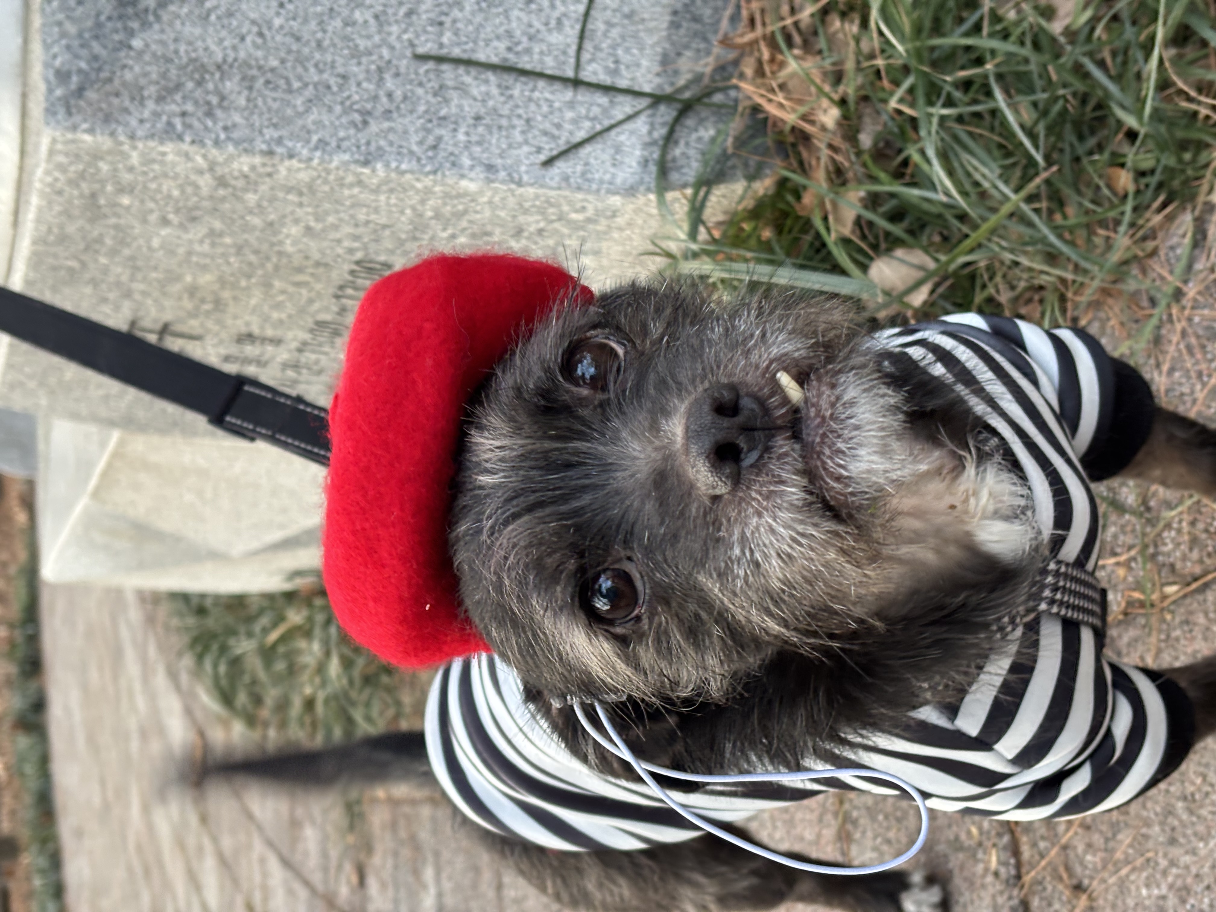 fff7a265e12a325b7c84f8bbe60cda48_1767515689_3512.jpg fff7a265e12a325b7c84f8bbe60cda48_1767515689_3512.jpg