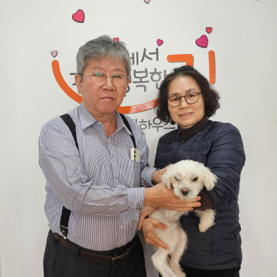 호빵이 입양 갔어요♡