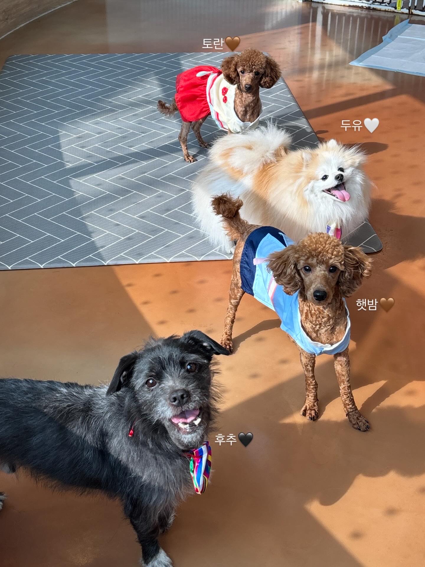 9d44a1de5a47a5da29294c85e2cac9cd_1770790105_0314.jpg 9d44a1de5a47a5da29294c85e2cac9cd_1770790105_0314.jpg