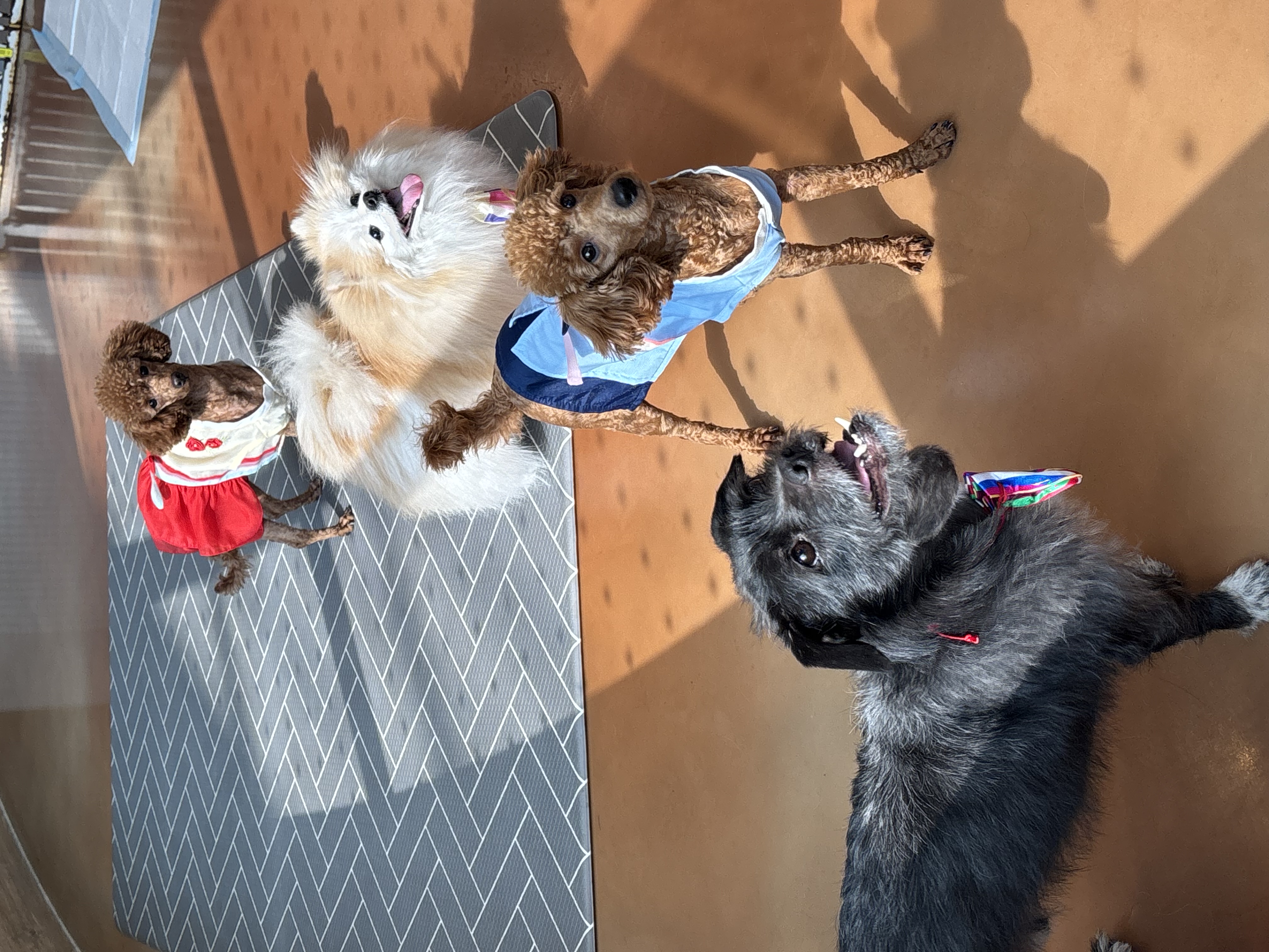 9d44a1de5a47a5da29294c85e2cac9cd_1770790106_5766.jpg 9d44a1de5a47a5da29294c85e2cac9cd_1770790106_5766.jpg